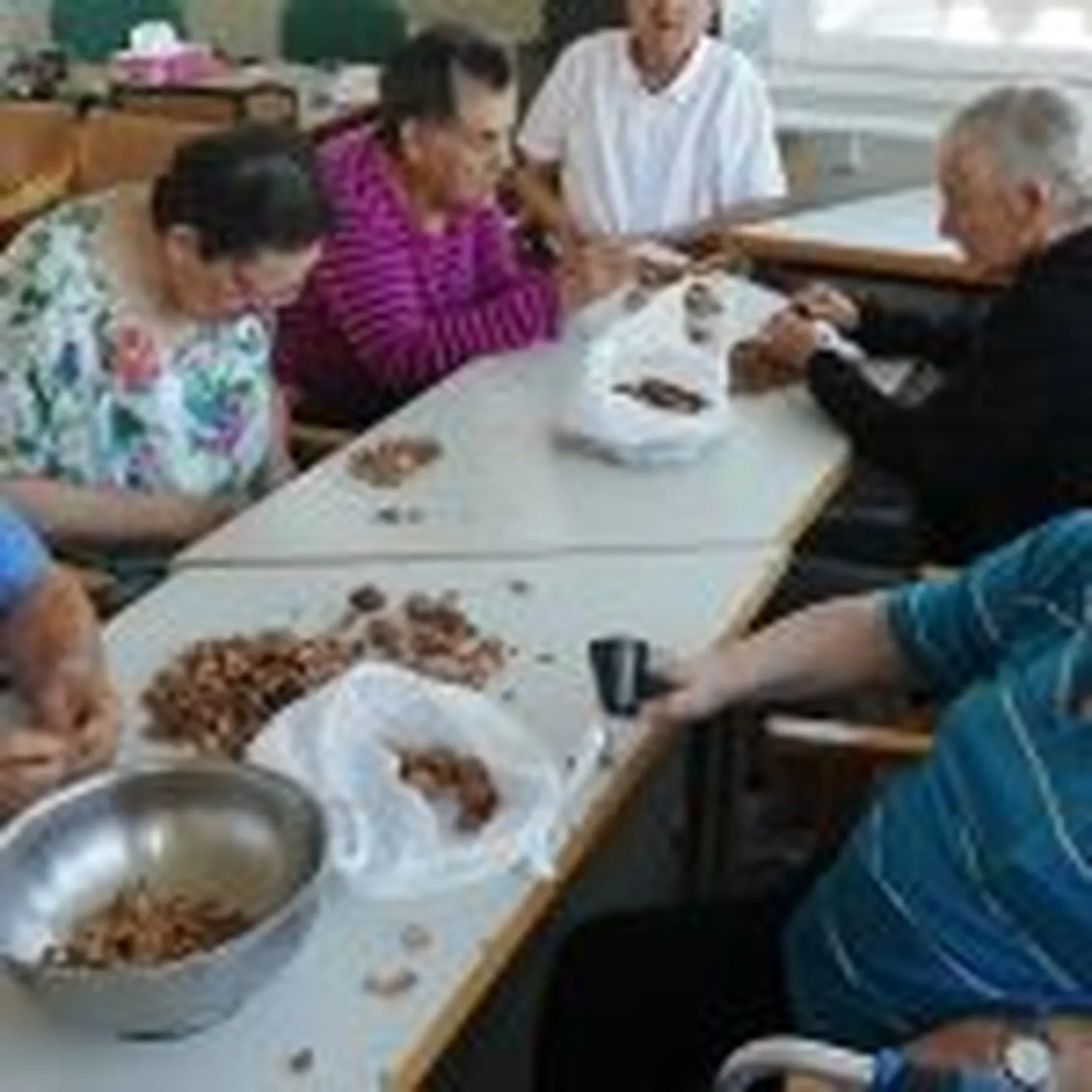 SA-nueces-6-150x150.jpg