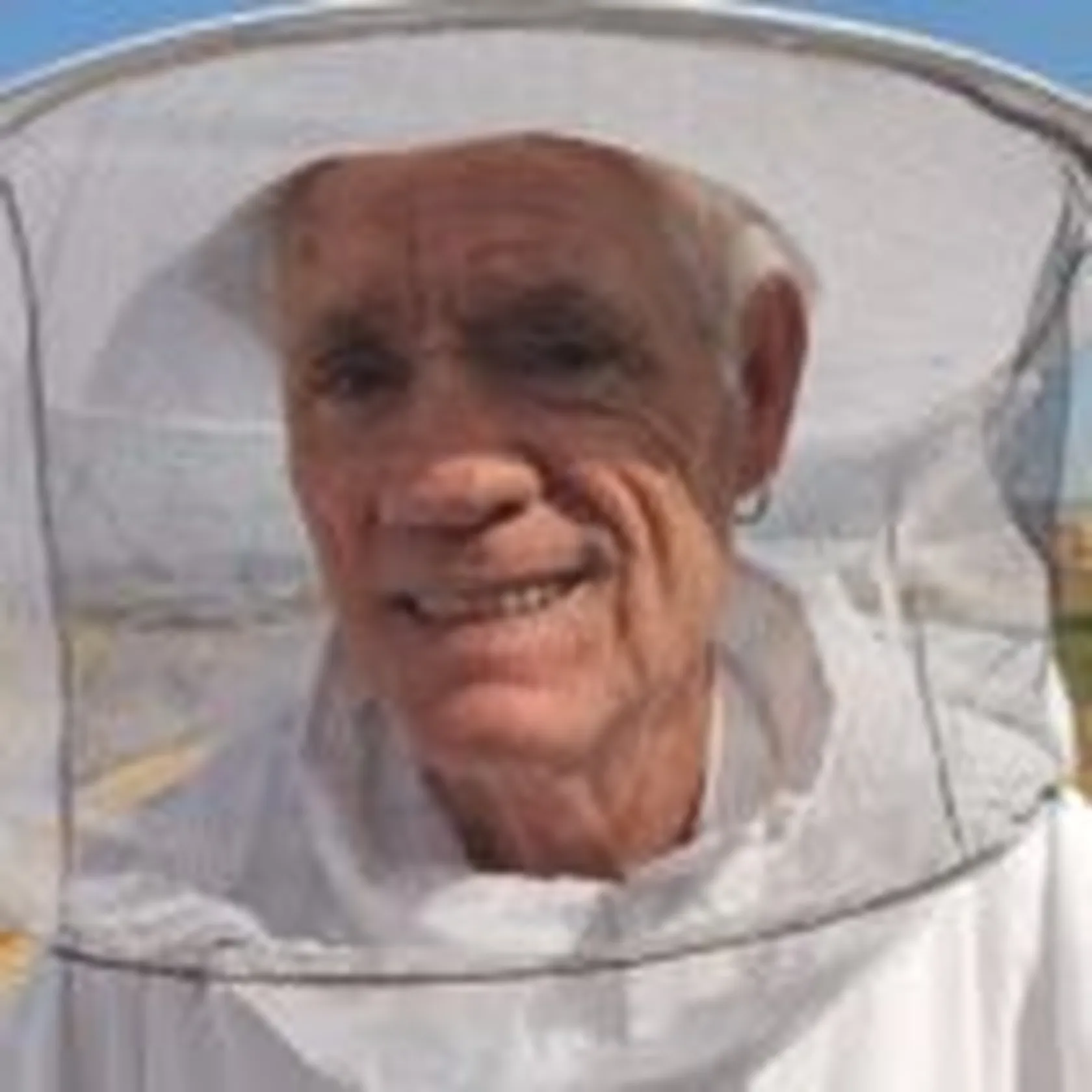 Abejas-Domusvi-Real-Deleite-3-150x150.jpg