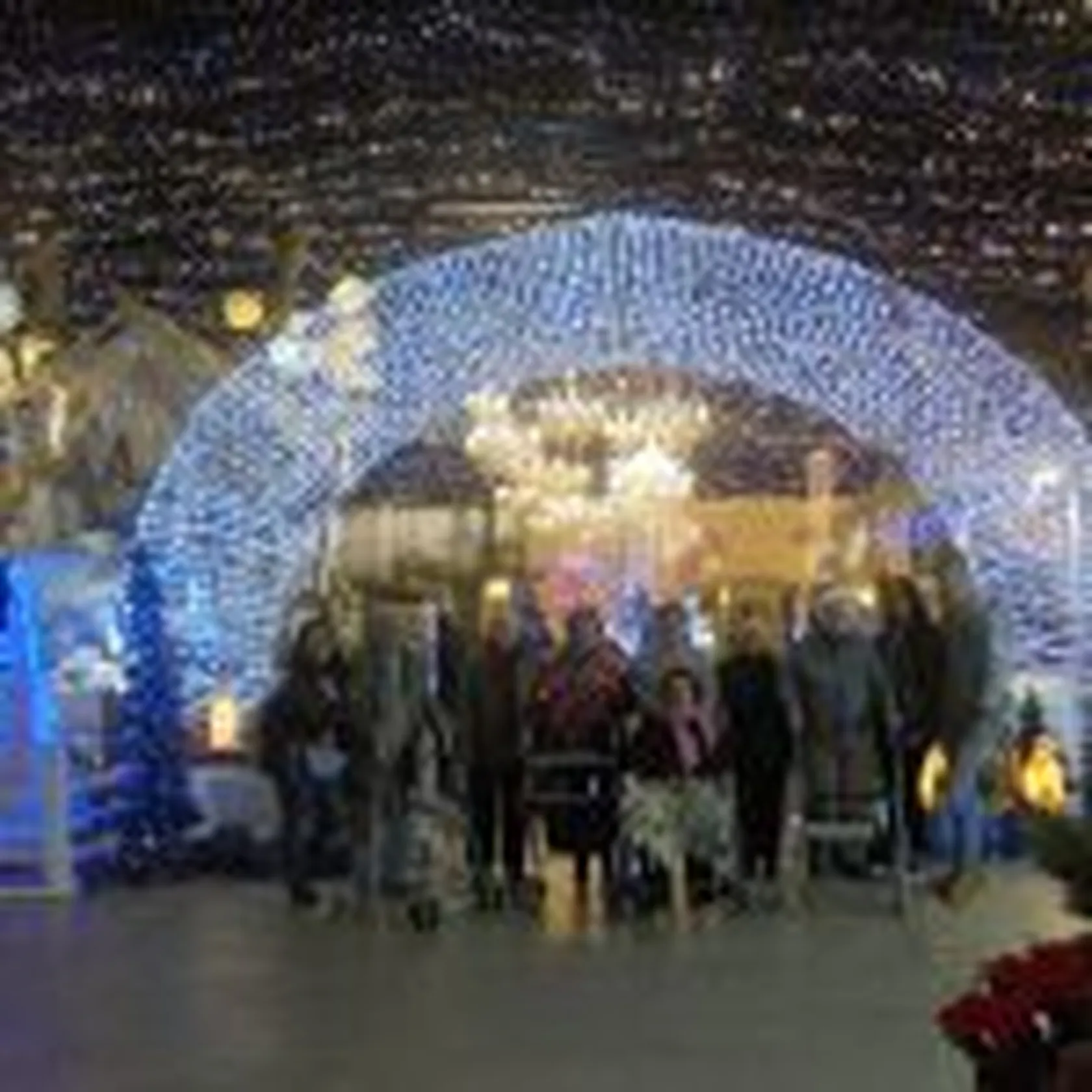 DSC00542-150x150.jpg