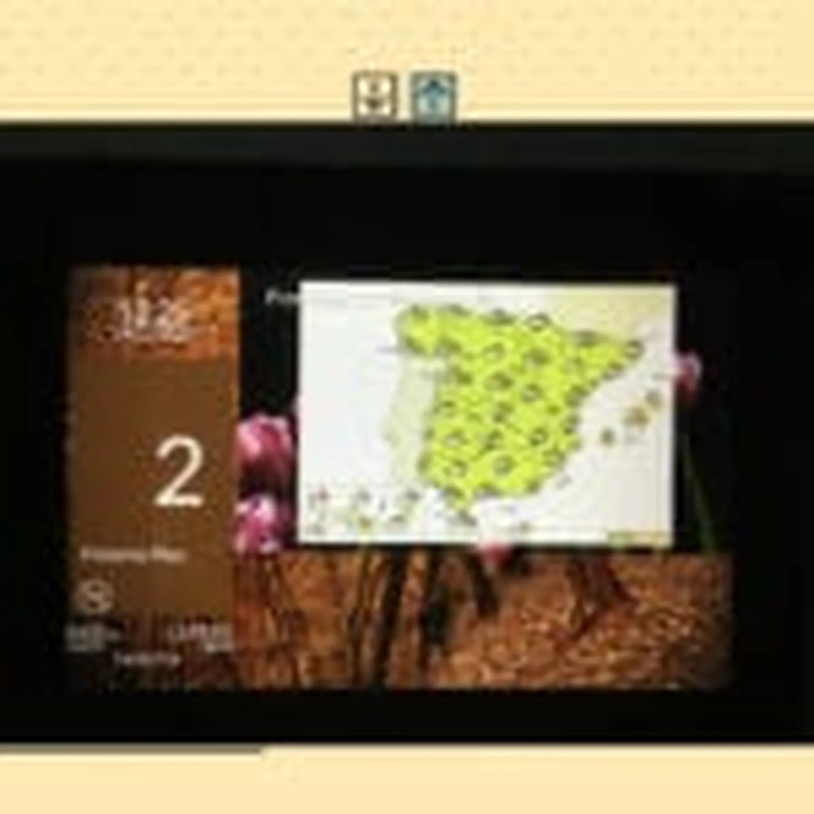 407905-PE4SJ6-7712-150x150.jpg