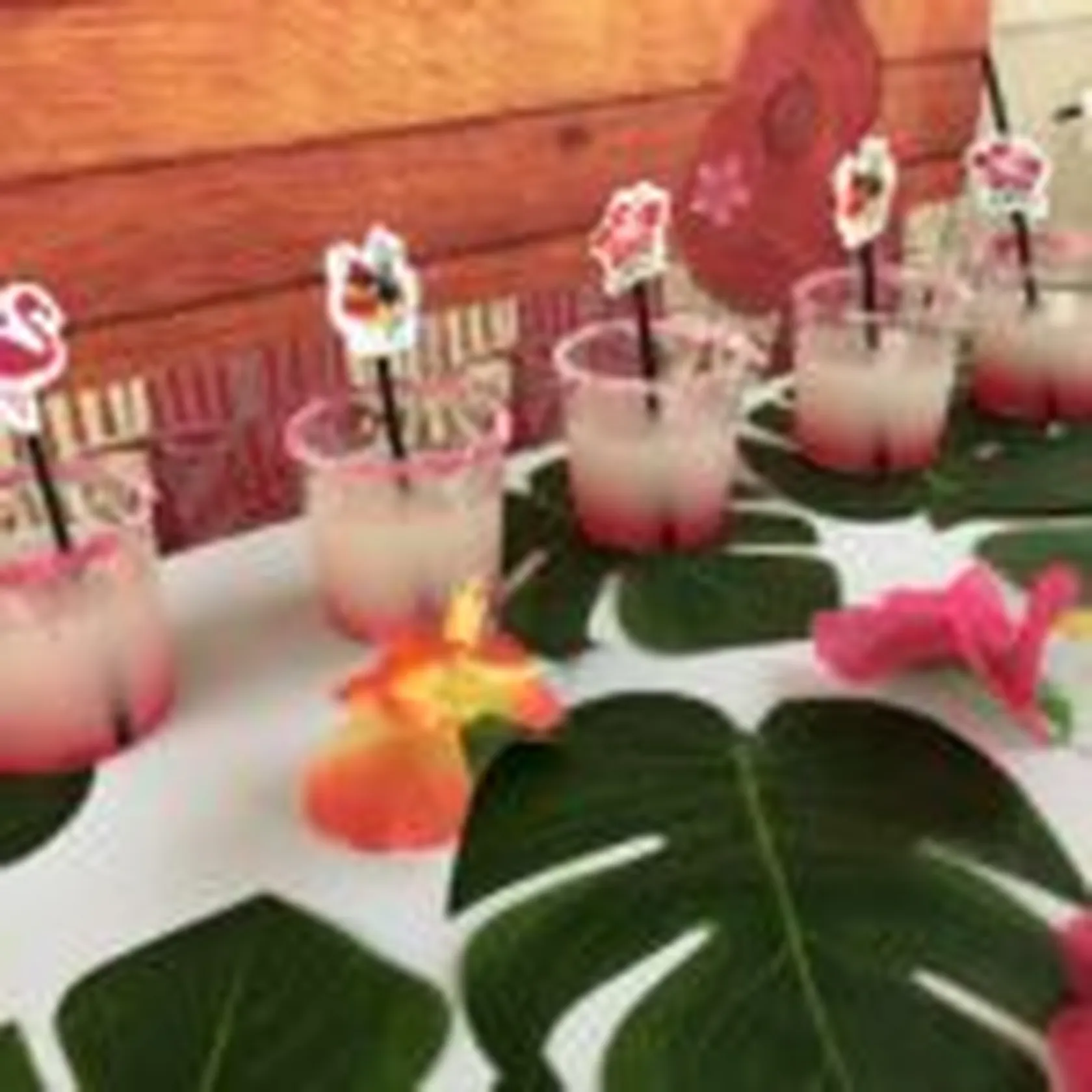 domusvi-quijorna-fiesta-aloha-2-150x150.jpg