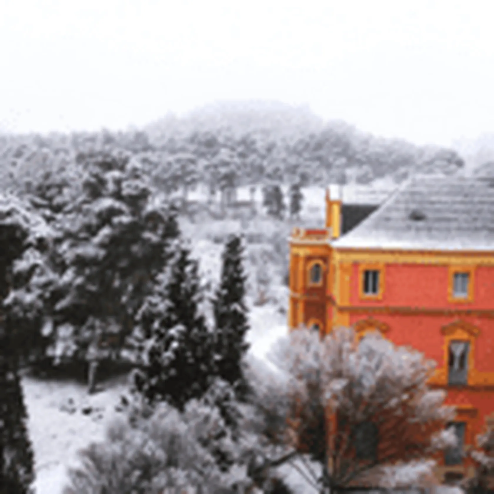 nieve1-1-150x150.png
