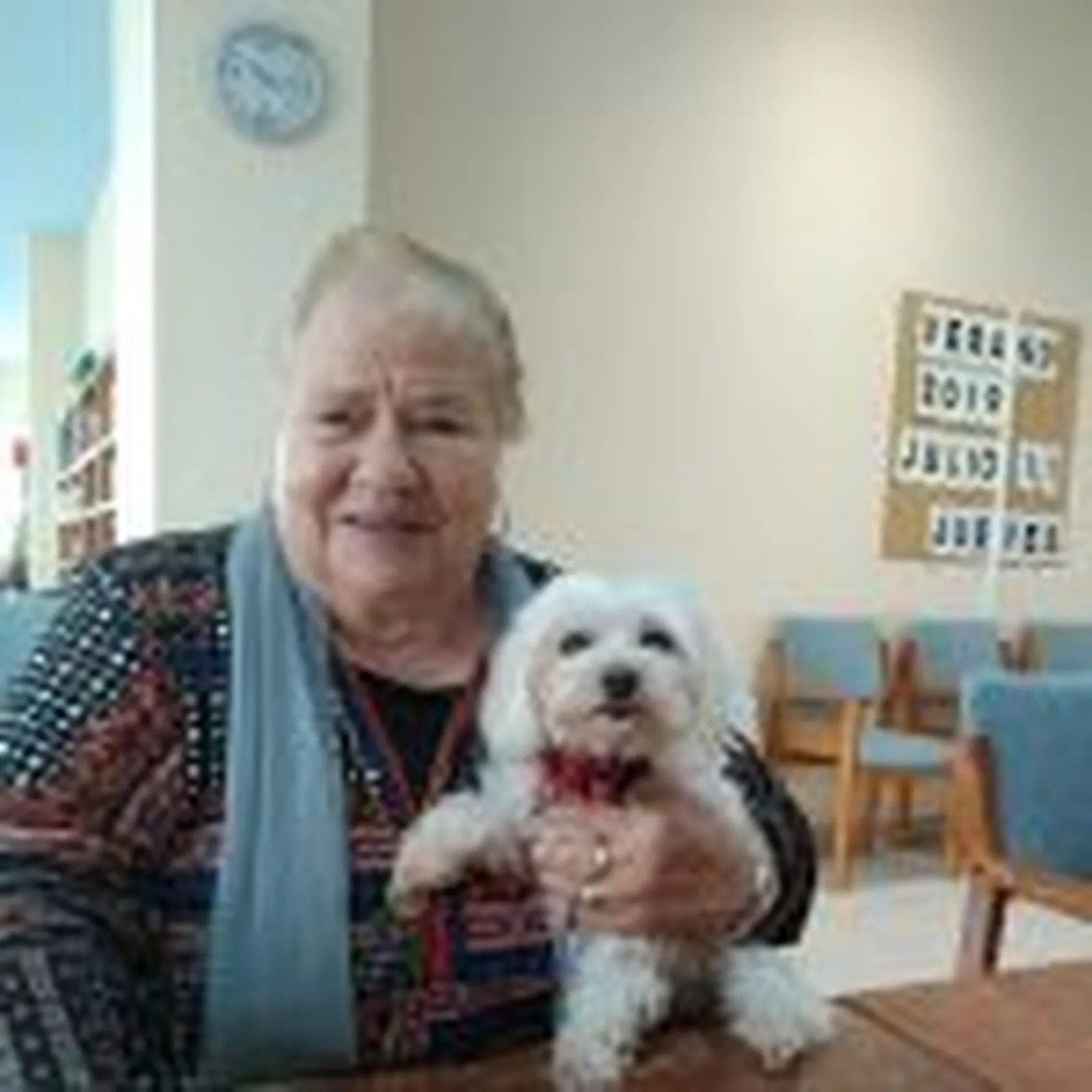 Actividades-Con-AnimalesDomusViLugo.2-150x150.jpg
