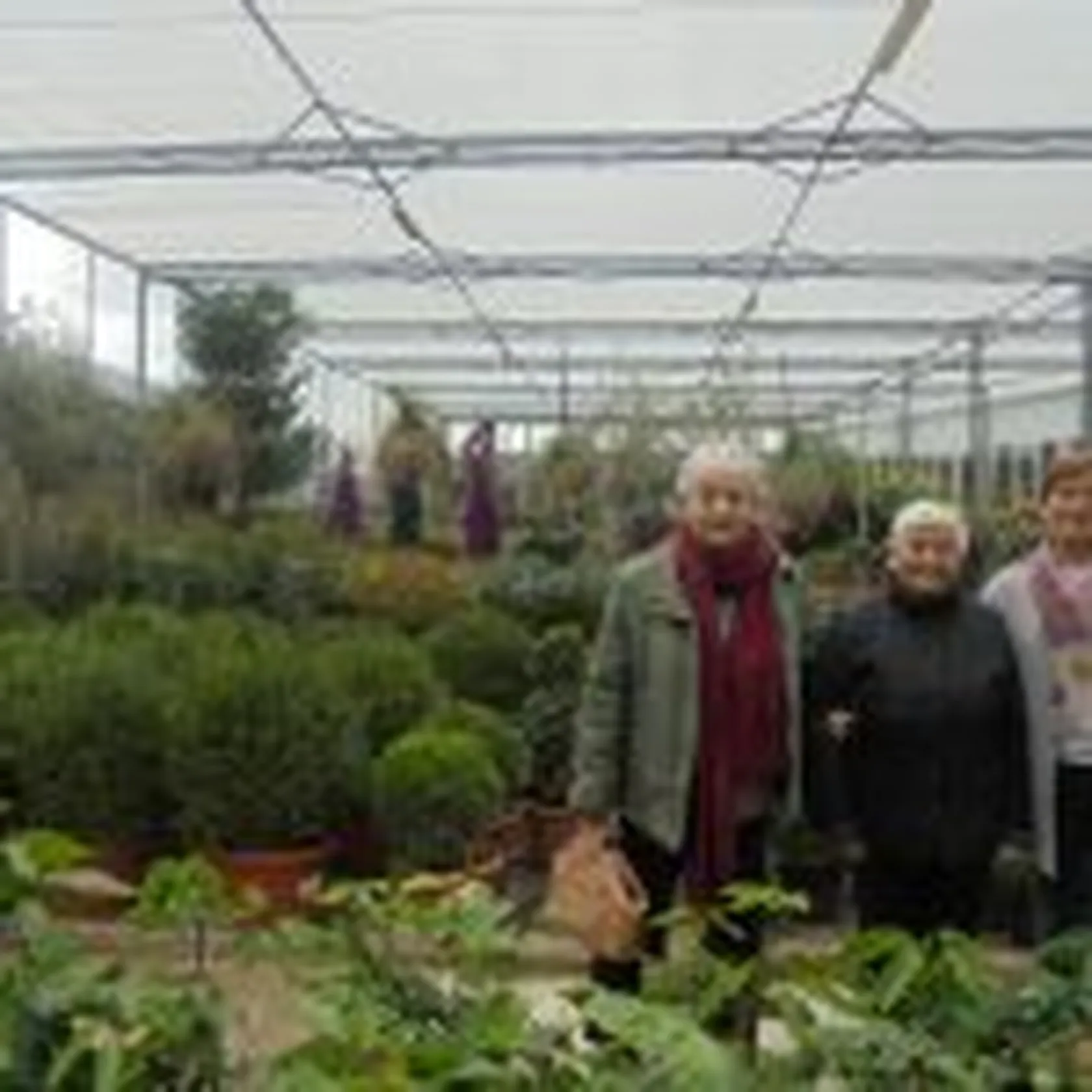 DSC00546-150x150.jpg