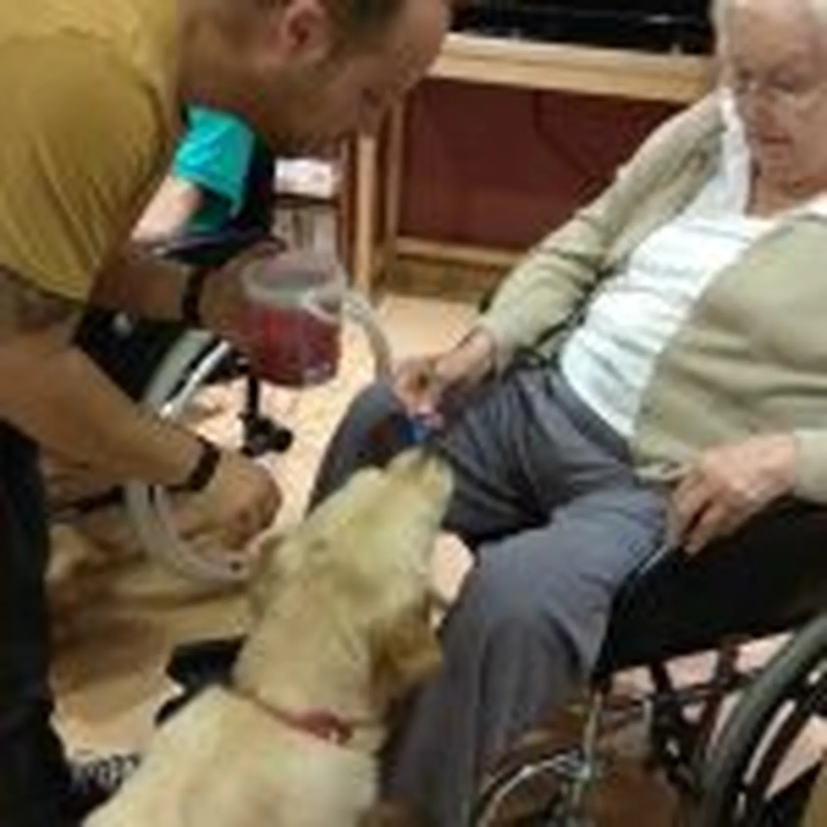 perros2-150x150.jpg