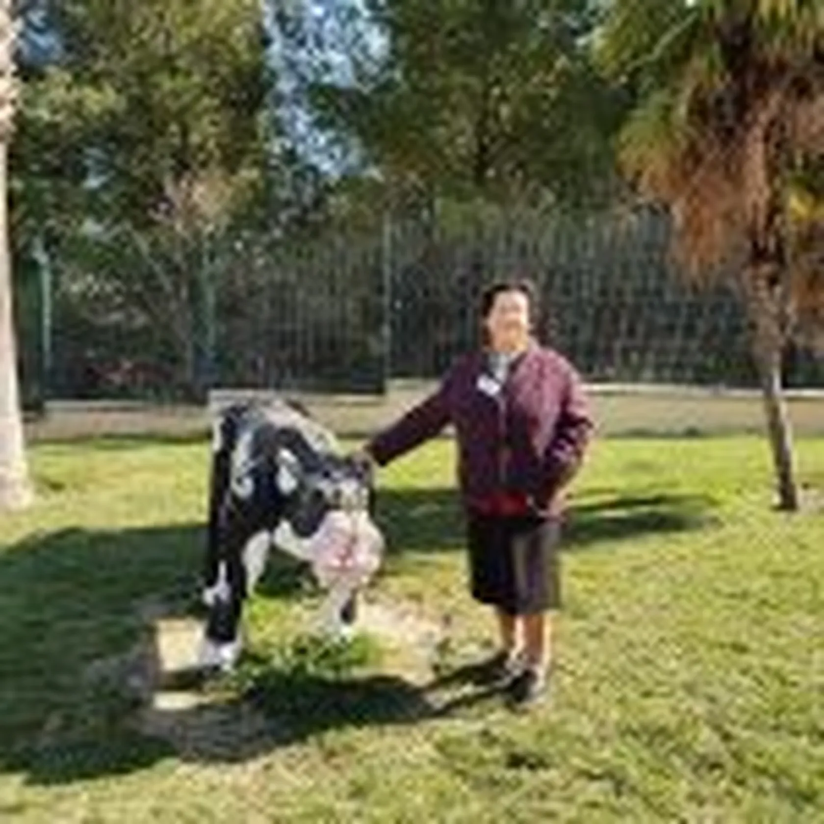 Ciudad-de-los-niños.-Condes-Corbull-1a-150x150.jpg