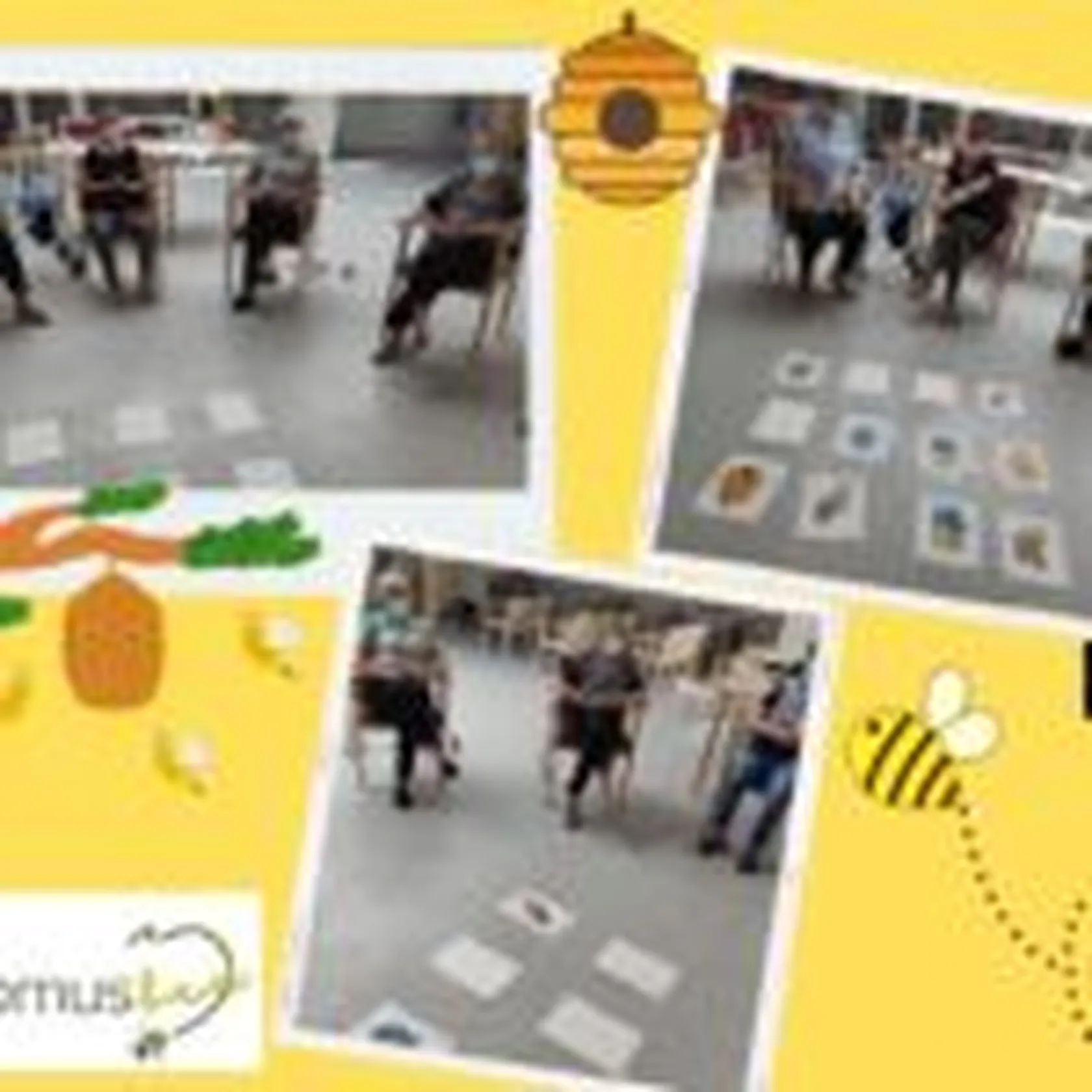 DOMUS-BEE2-150x150.jpg