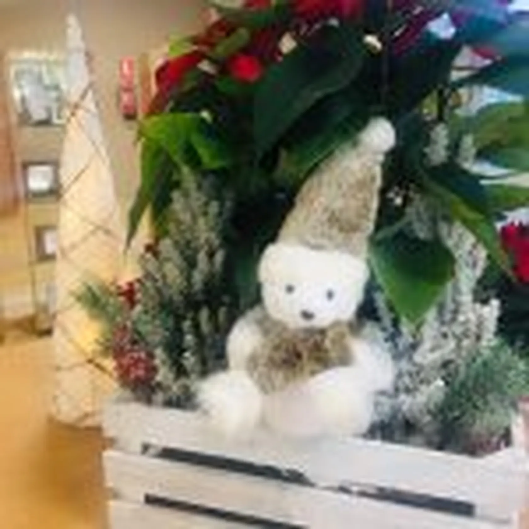 DomusVi-Valdemoro-decoración-navidad-2019-1-150x150.jpeg