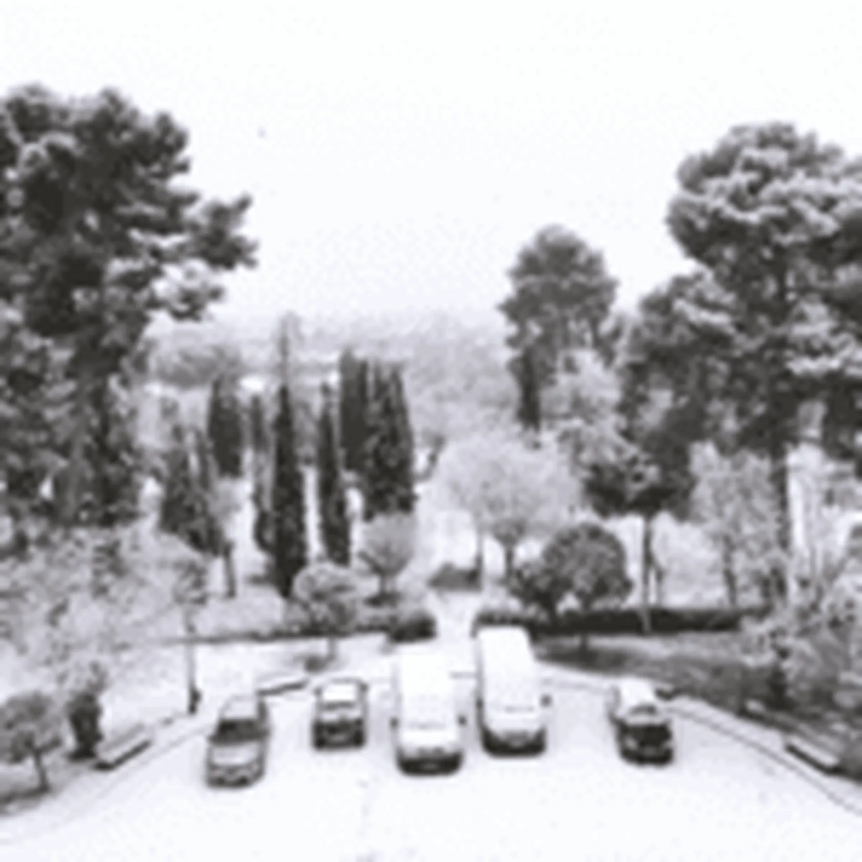 nieve5-1-150x150.png
