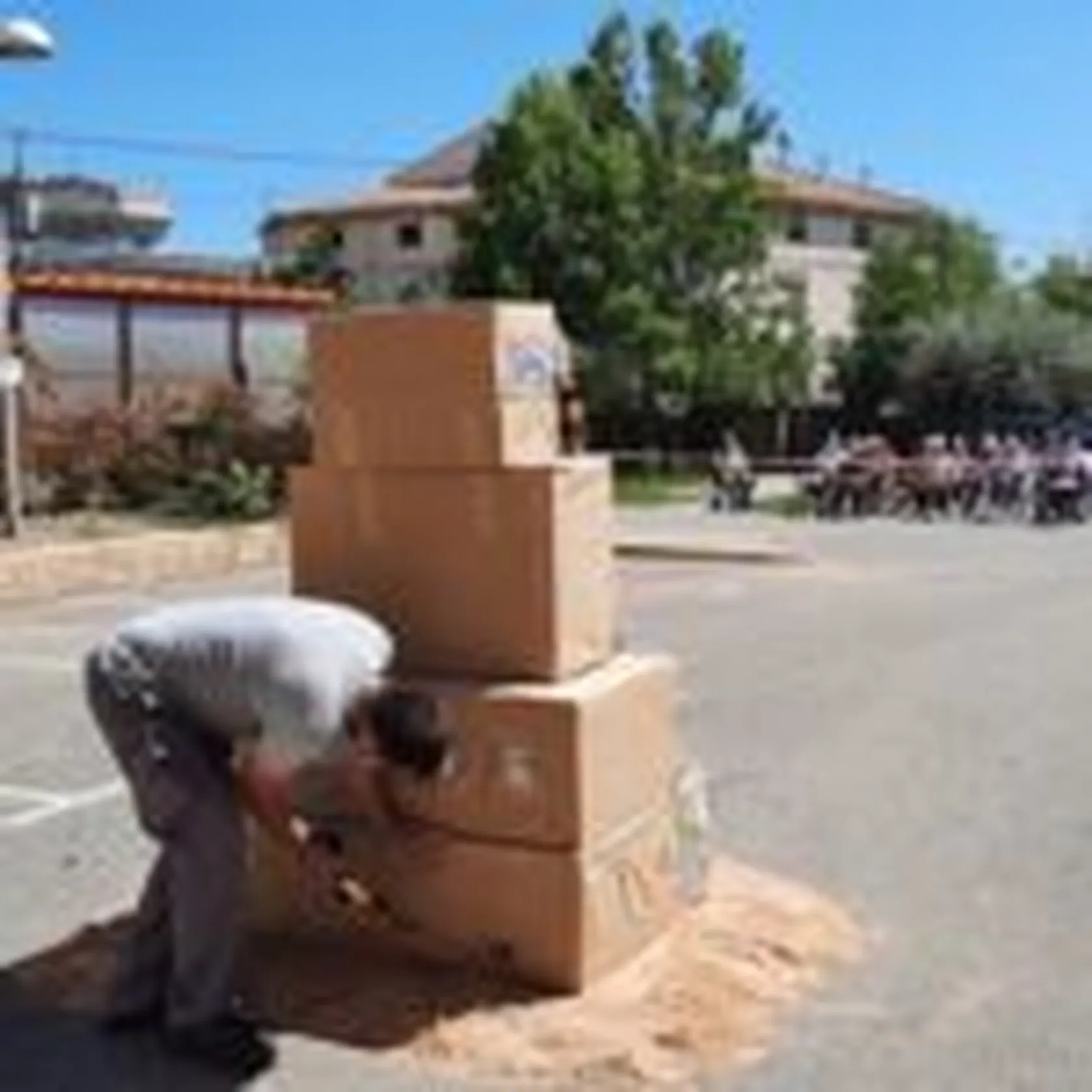 Hogueras12-150x150.jpg