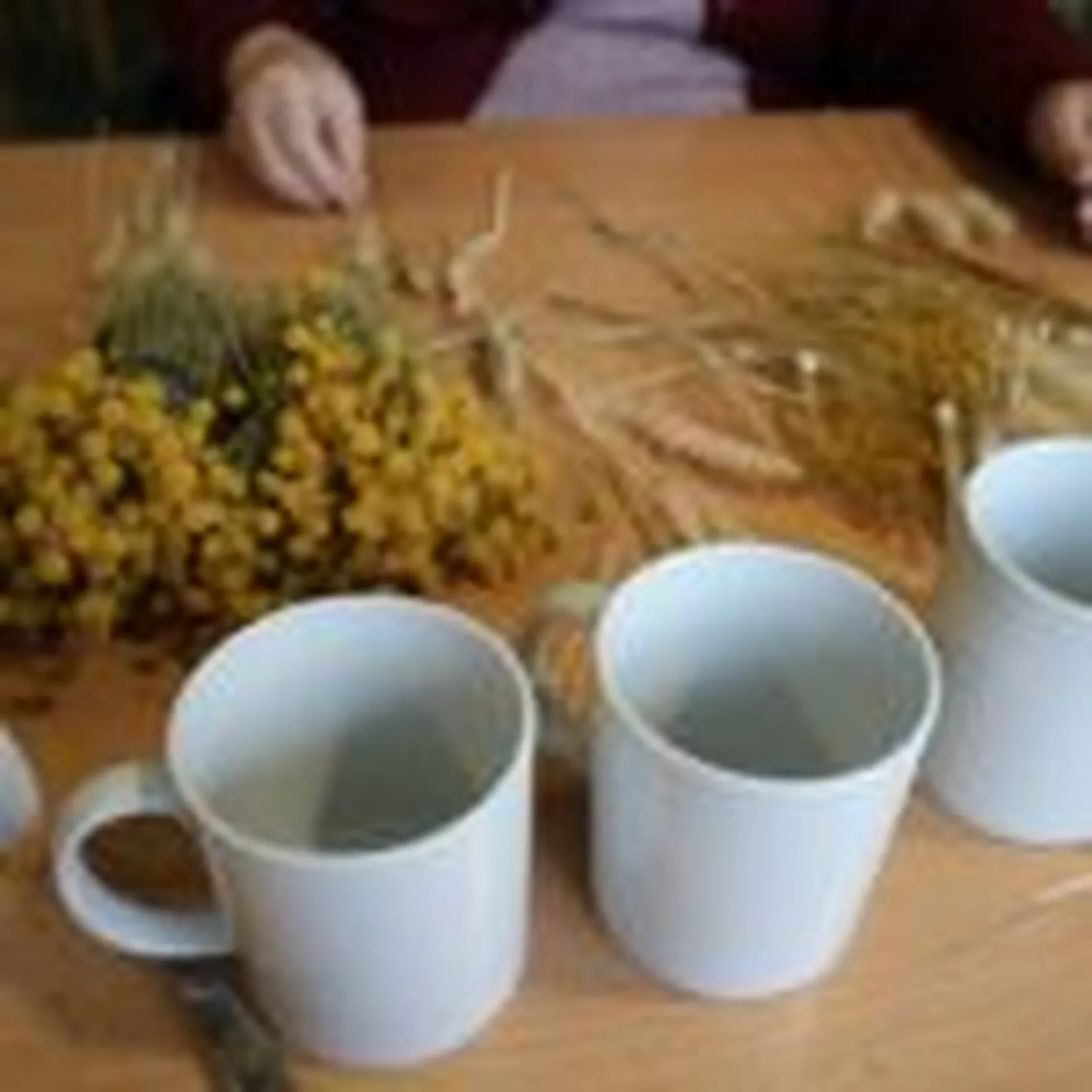 Taller-de-flores-en-taza-DomusVi-Santa-Pola-4-150x150.jpg