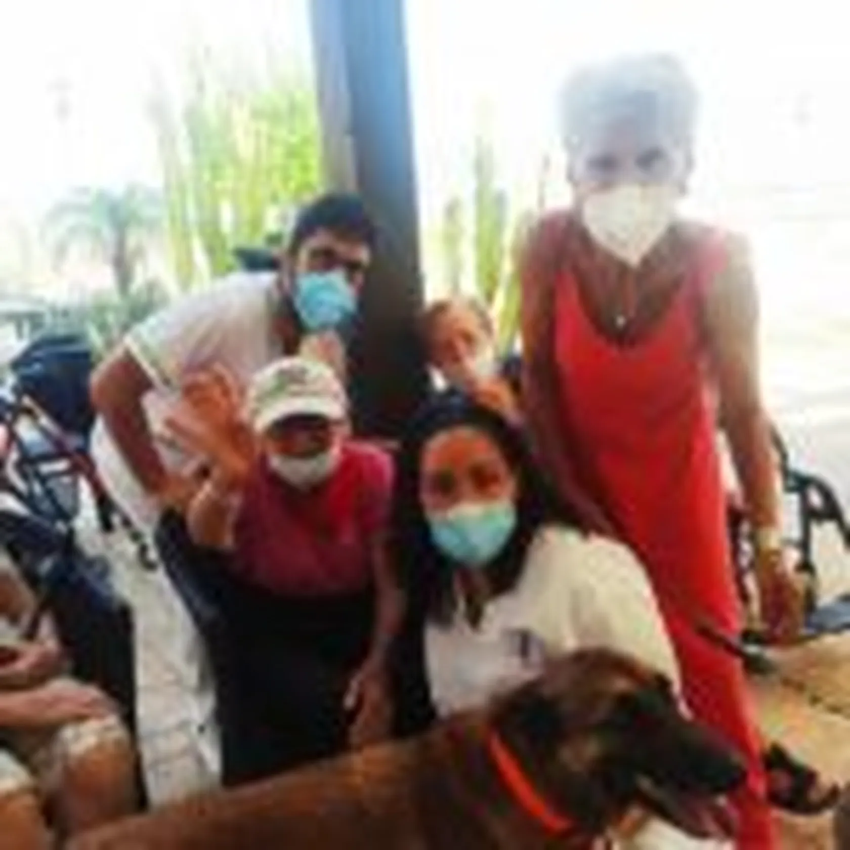 perro-150x150.jpg