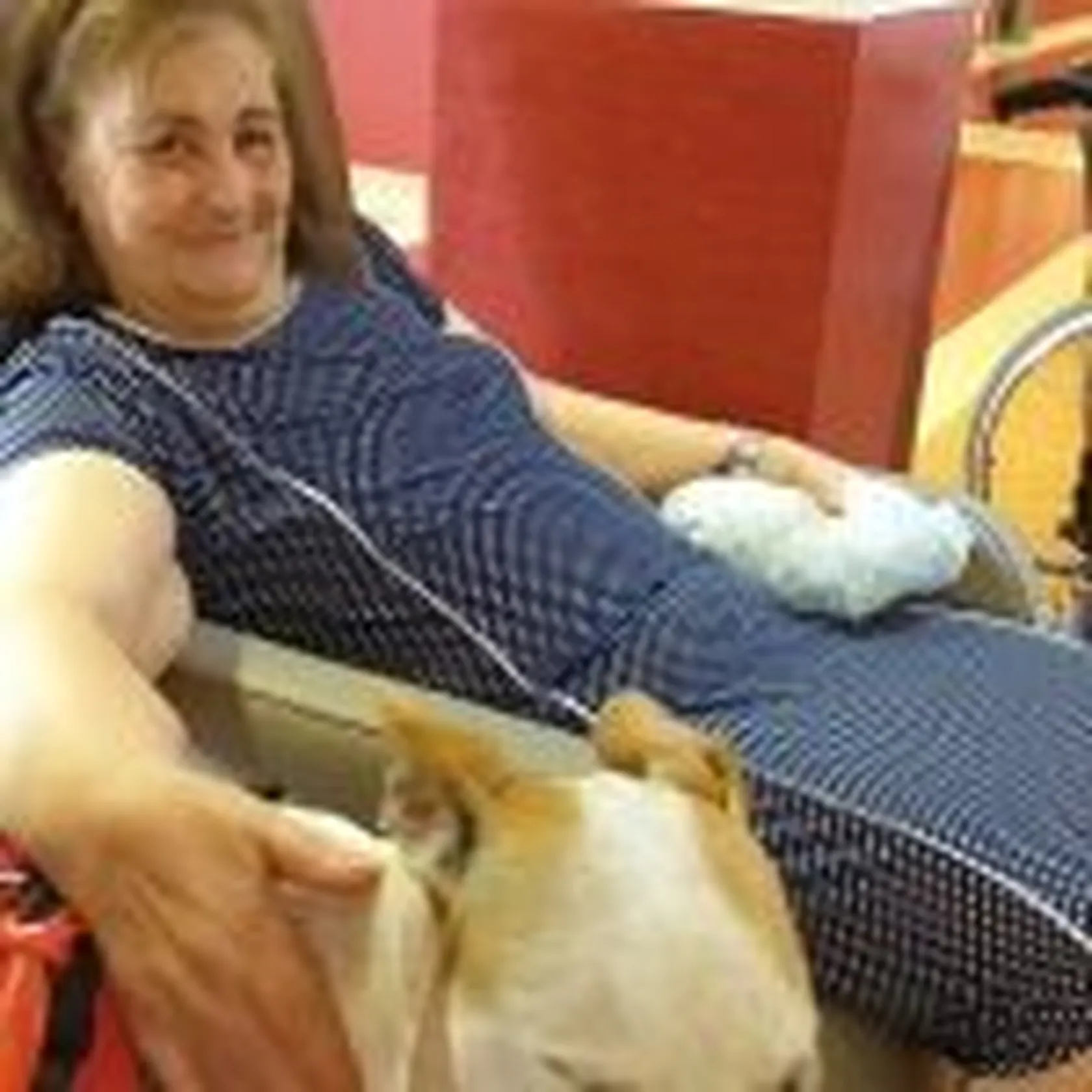 20190620_174211-150x150.jpg