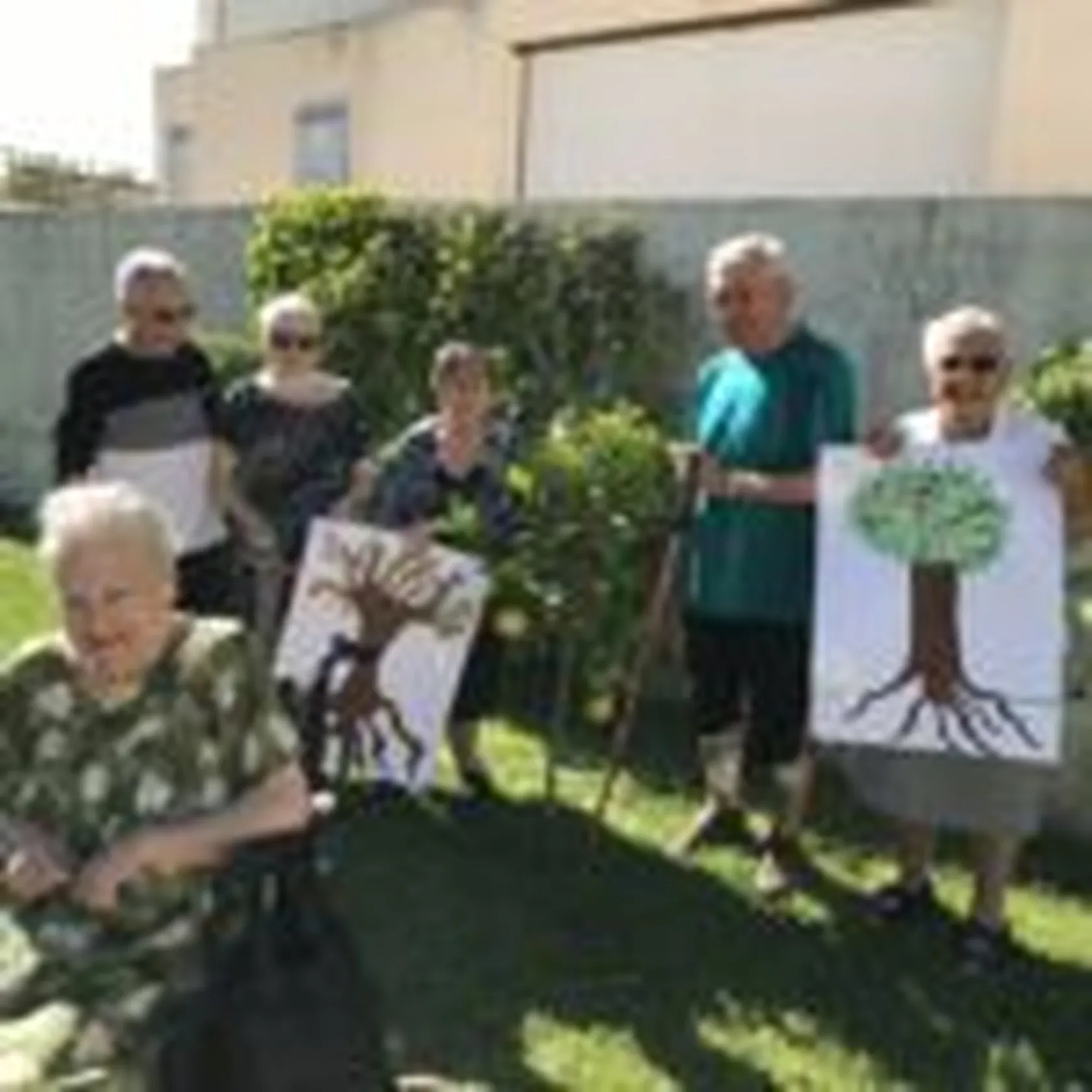 DOMUSVI-QUIJORNA-DIA-MUNDIAL-DE-ARBOL-150x150.jpg