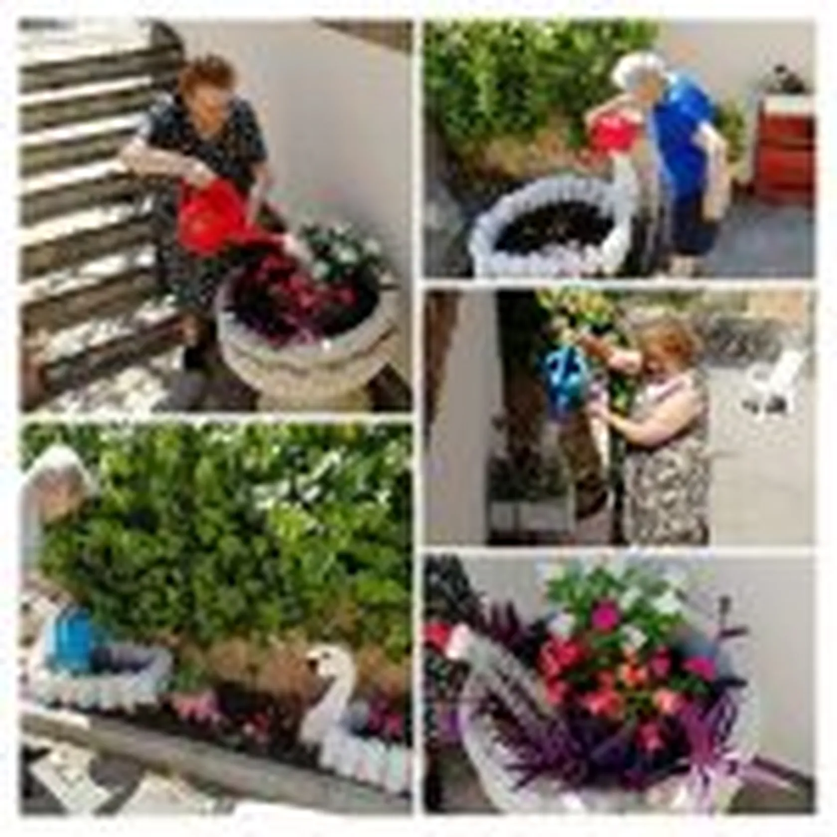 Decorando-el-jardin-2019-1-150x150.jpg