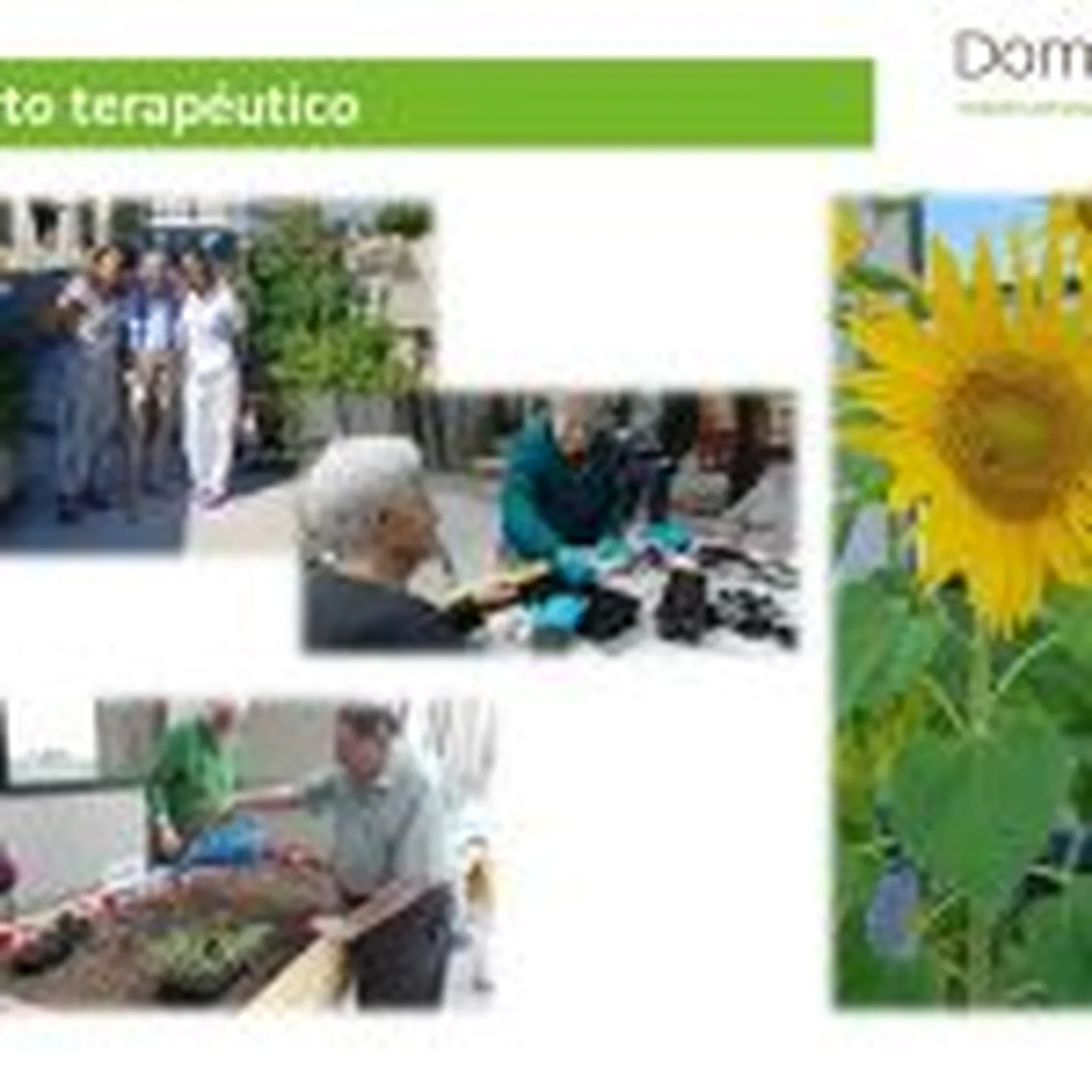 DÍA-INTERNACIONAL-TO-MATOGRANDE-4-150x150.jpg