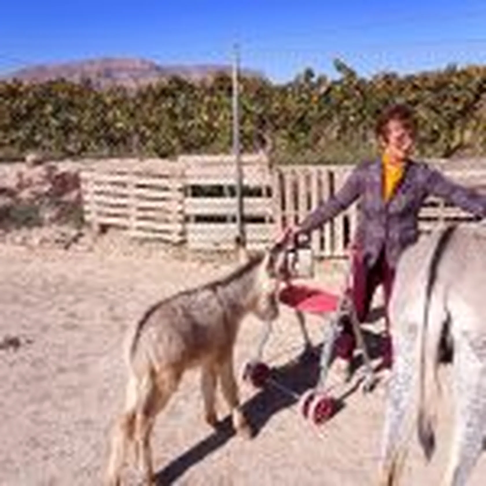 IMG_20191112_123457-150x150.jpg