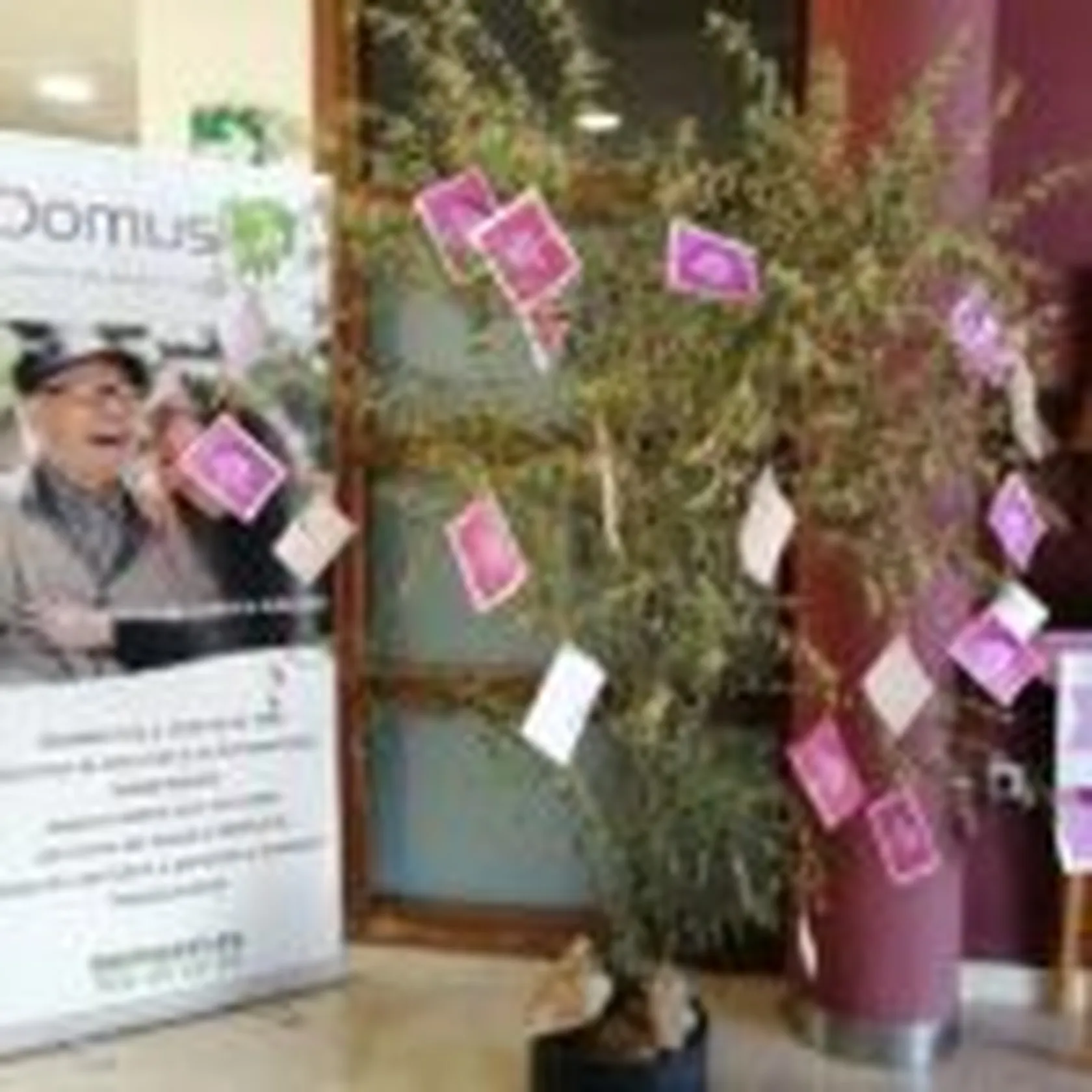 ARBOL-DE-LA-MADRES1-150x150.jpg