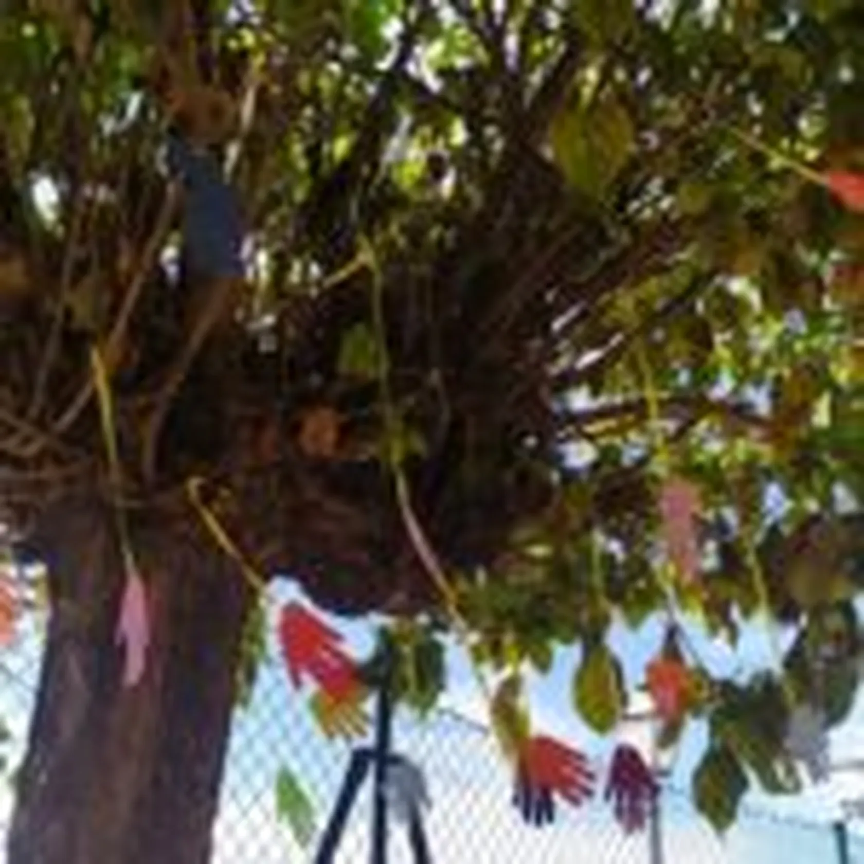 8d893099-9ec8-40d1-a7bf-52cefefee444-150x150.jpg
