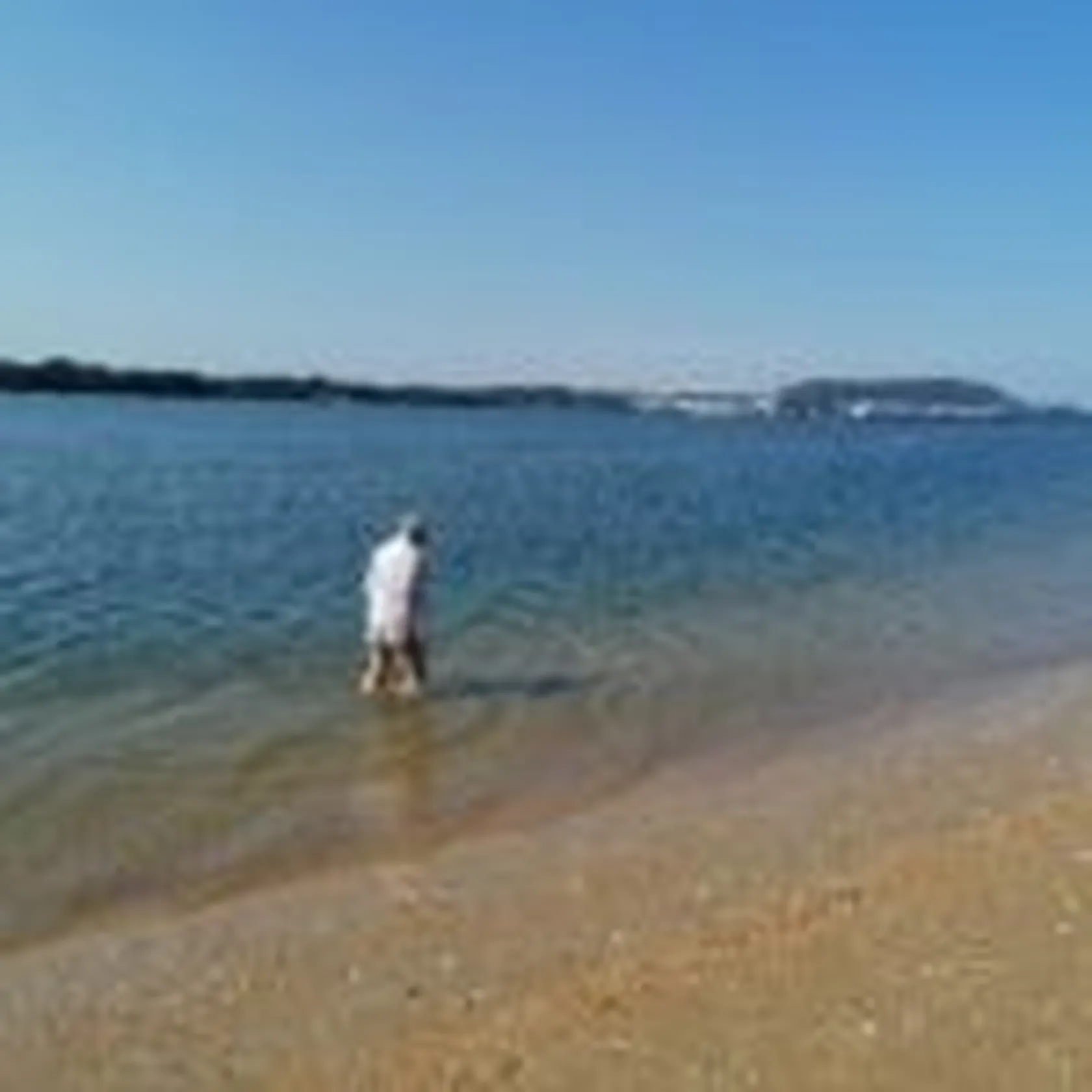 IMG_20210825_114036-min-150x150.jpg