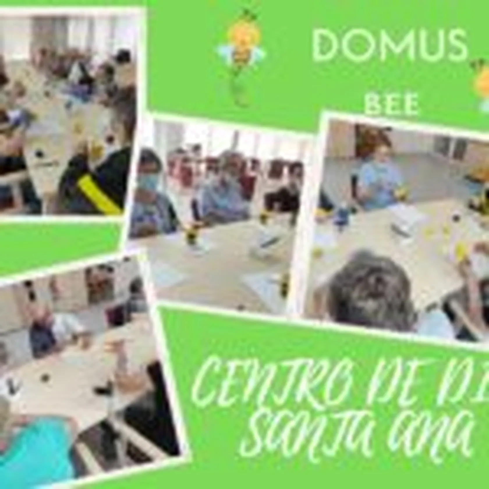 DOMUS-BEE1-150x150.jpg