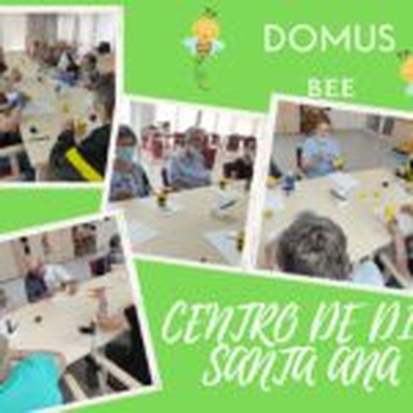 DOMUS-BEE1-150x150.jpg
