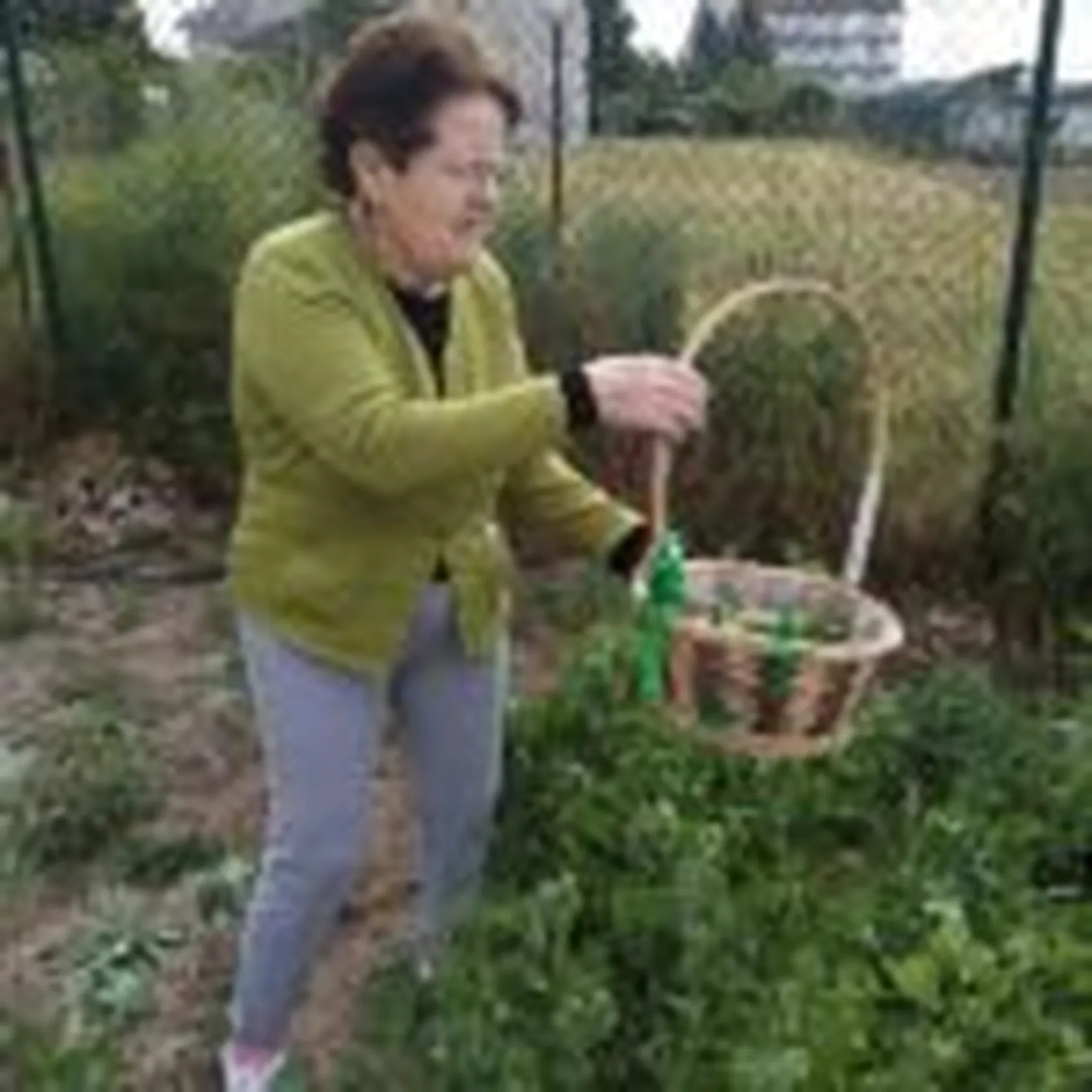 Companerismo-150x150.jpg