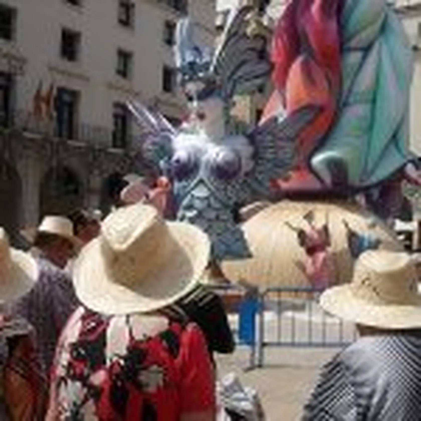 SDC10625-150x150.jpg