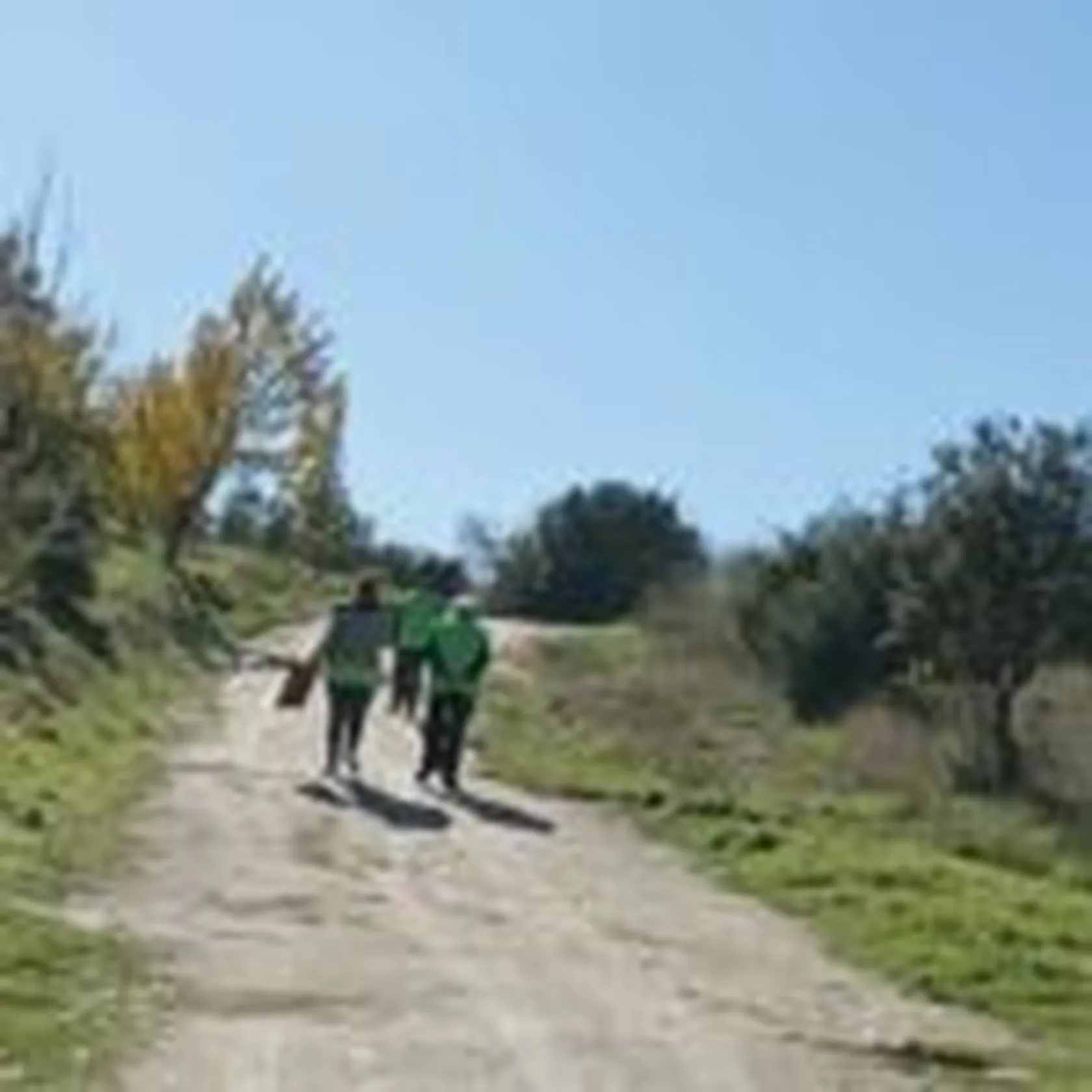 DomusVi-Tres-Cantos-plantacion-bosque-fnac-2-150x150.jpg