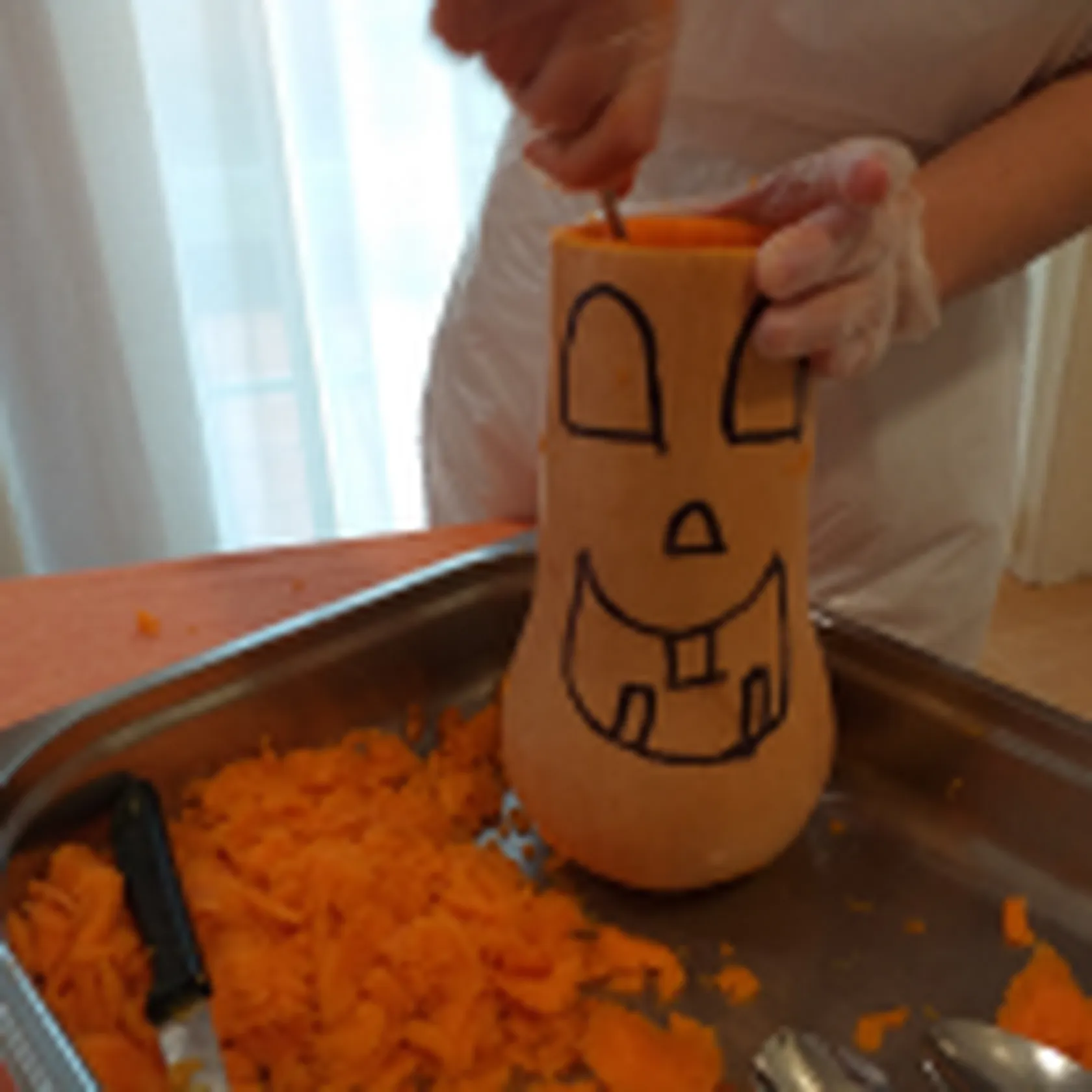calabaza-150x150.png