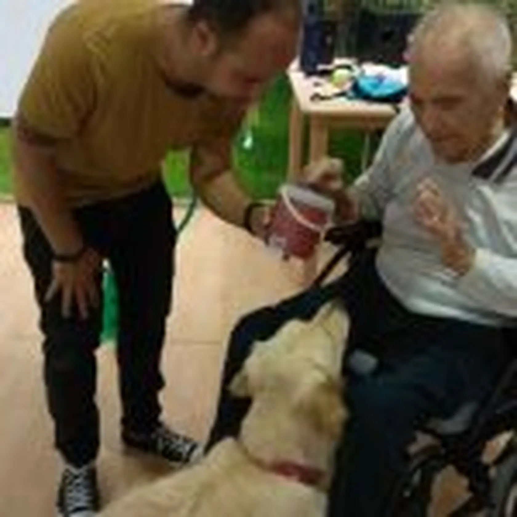 perros3-150x150.jpg