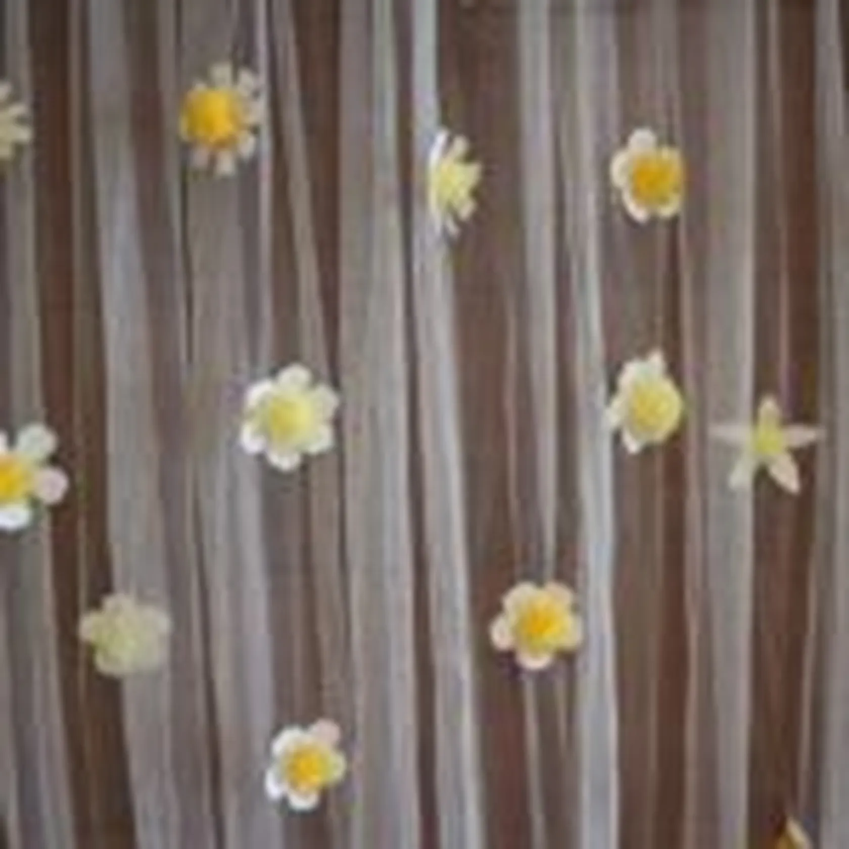 Decoracion-primavera-DomusVi-Santa-Pola-2022-8-150x150.jpg