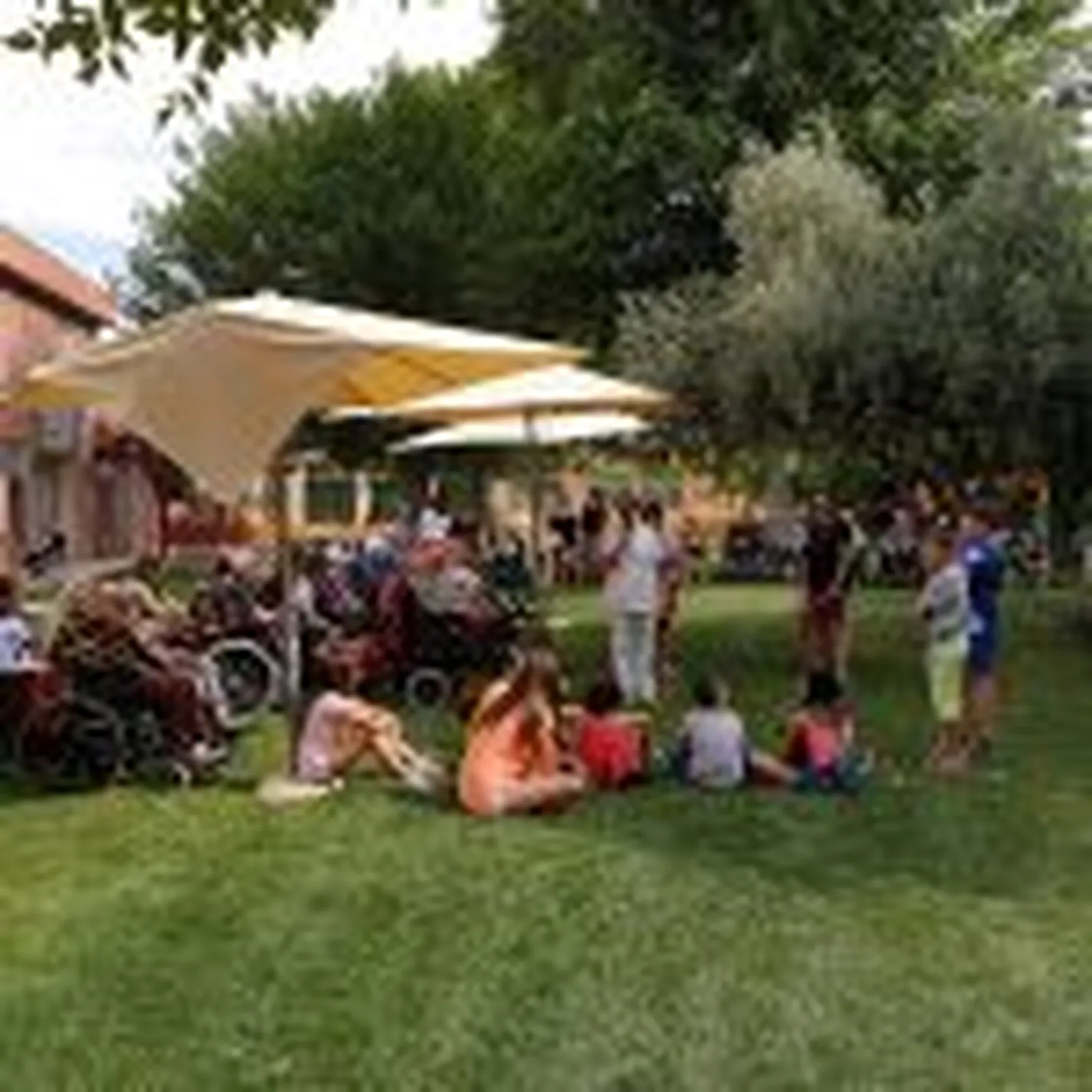 20190726_110522-150x150.jpg