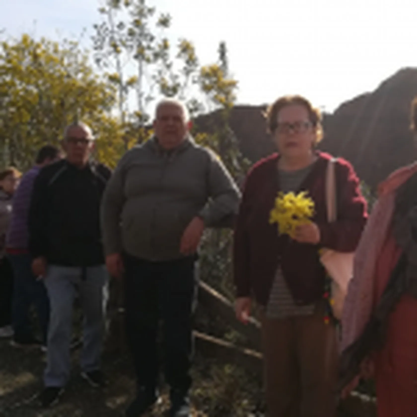 aromos-150x150.png