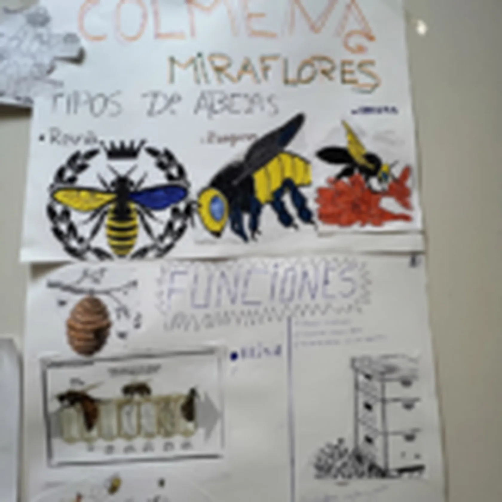 COLMENA-MIRAFLORES-CARTELES-150x150.png