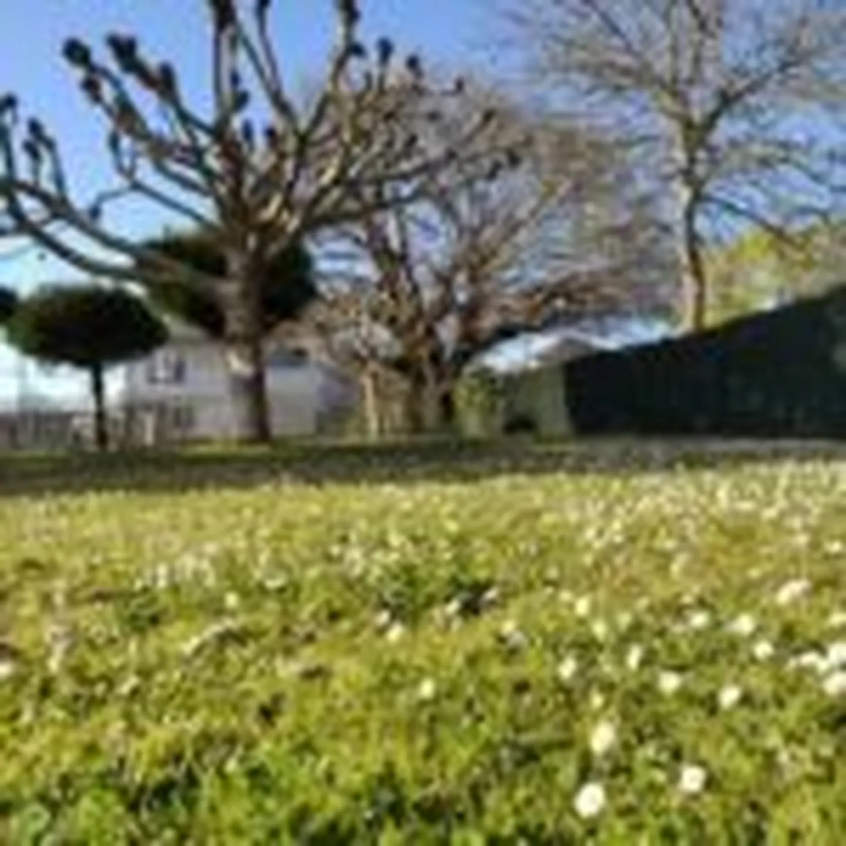 domusviLugoPrimavera2-150x150.jpg