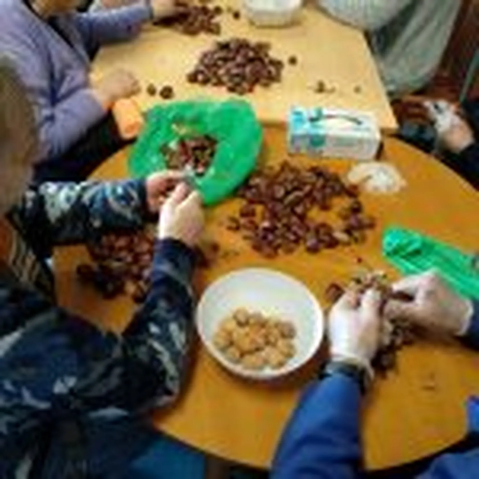 IMG_20191113_113342-150x150.jpg