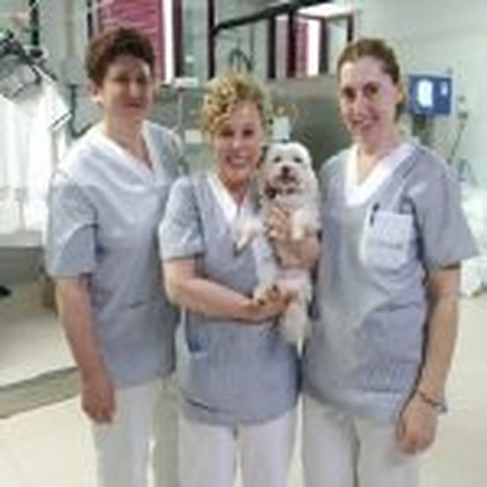 Actividades-Con-AnimalesDomusViLugo.1-150x150.jpg