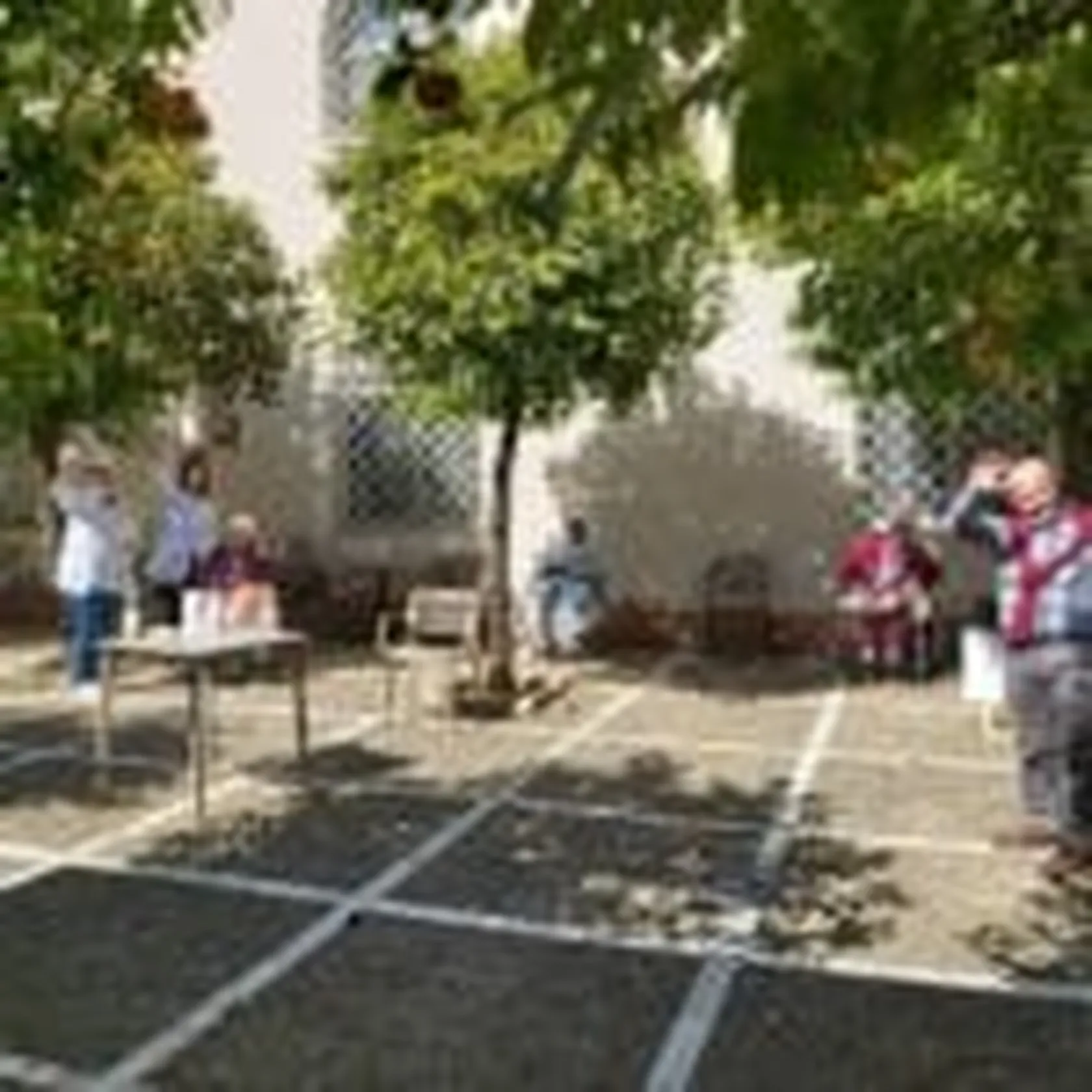 patio-montealto-150x150.jpg