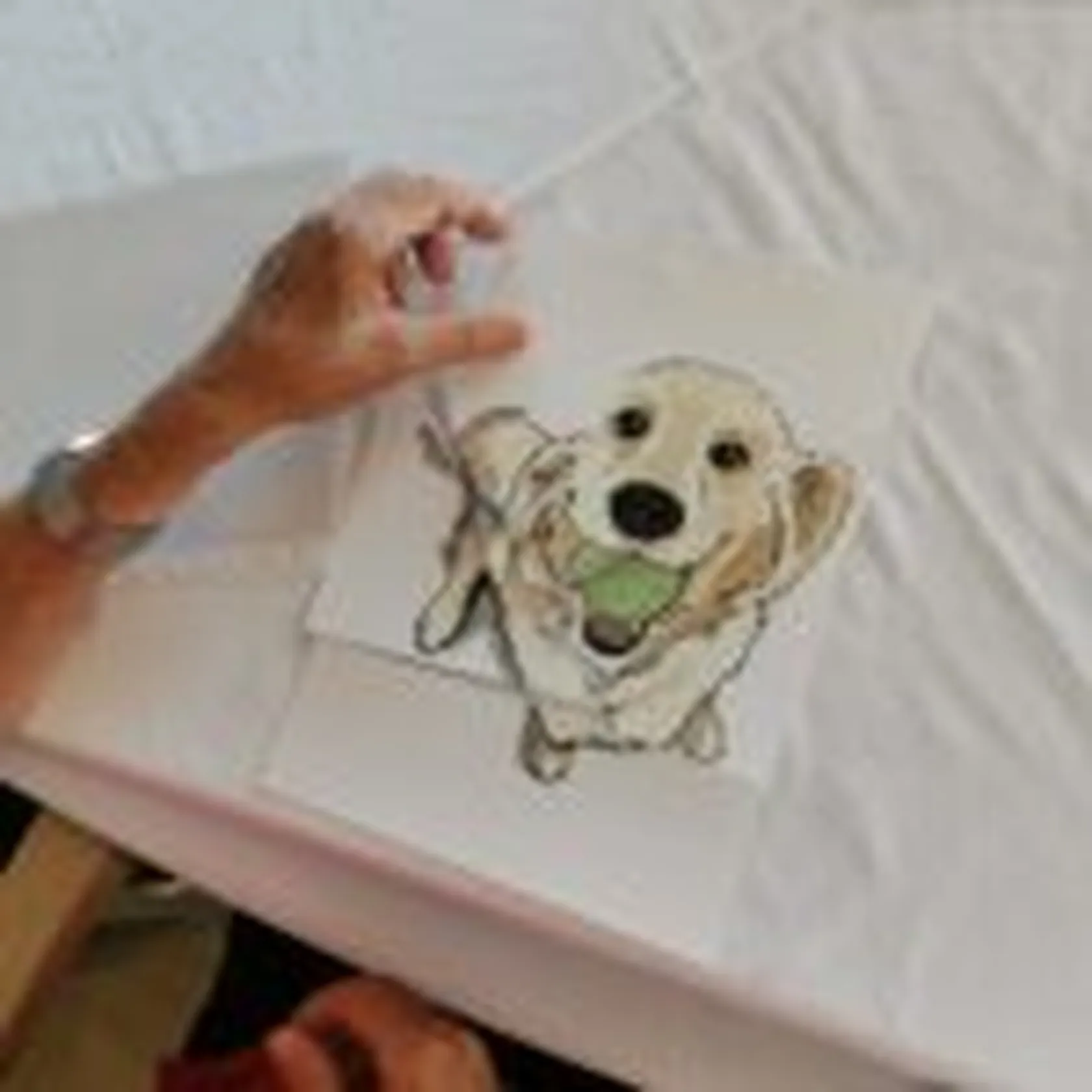 IMG_20220721_110233-150x150.jpg