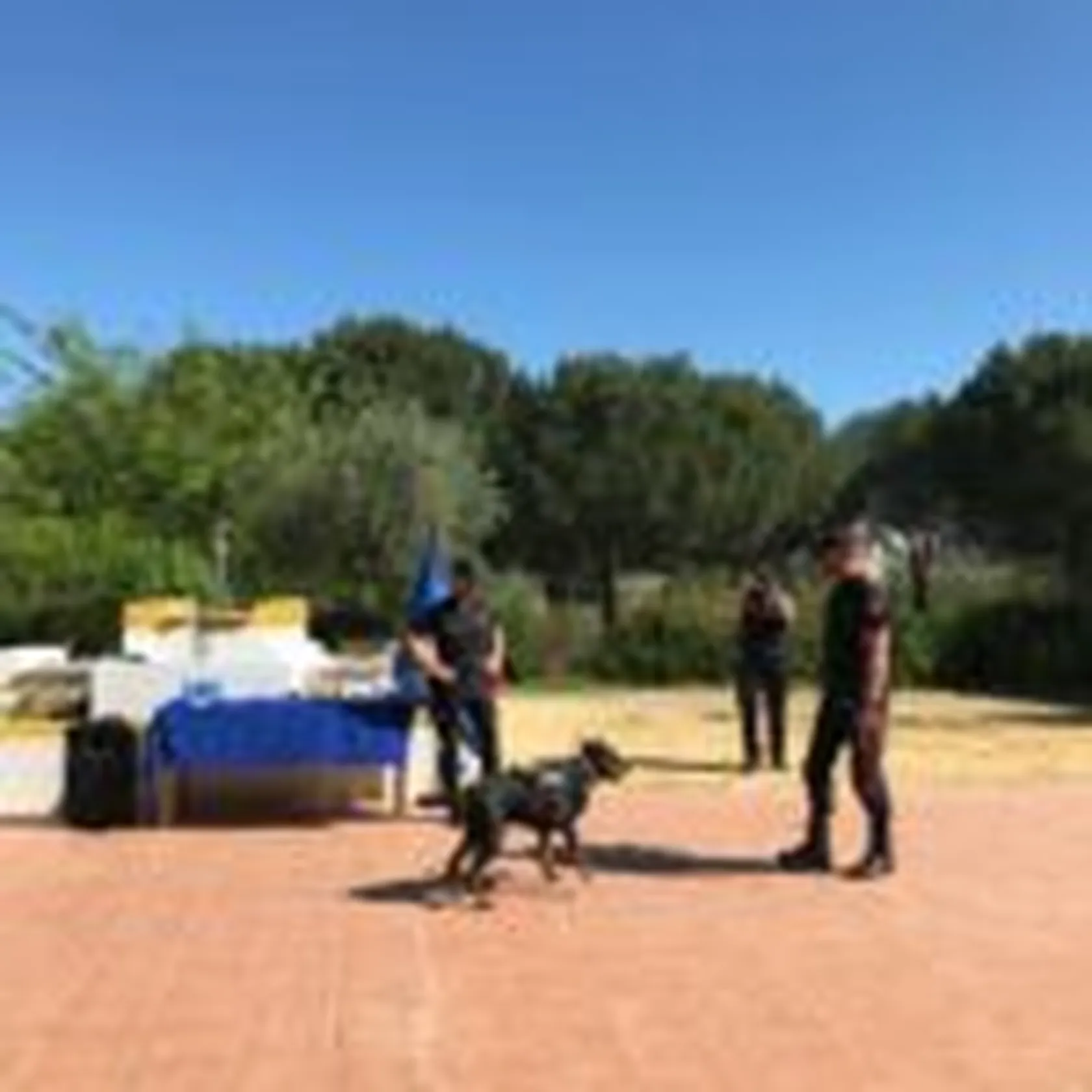 guadaira-policia-canina-2-150x150.jpg