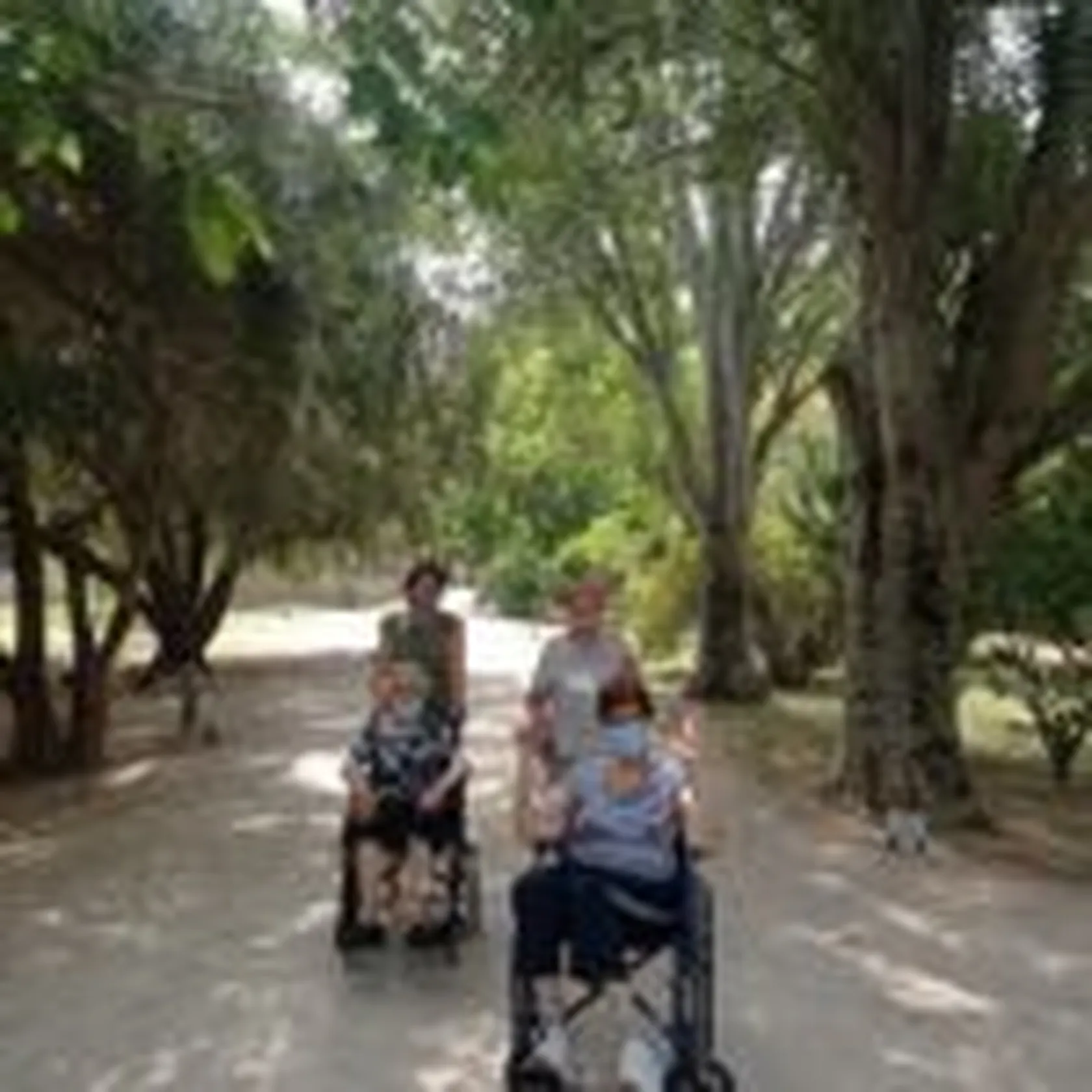 caminando-botanico-1-min-150x150.jpg