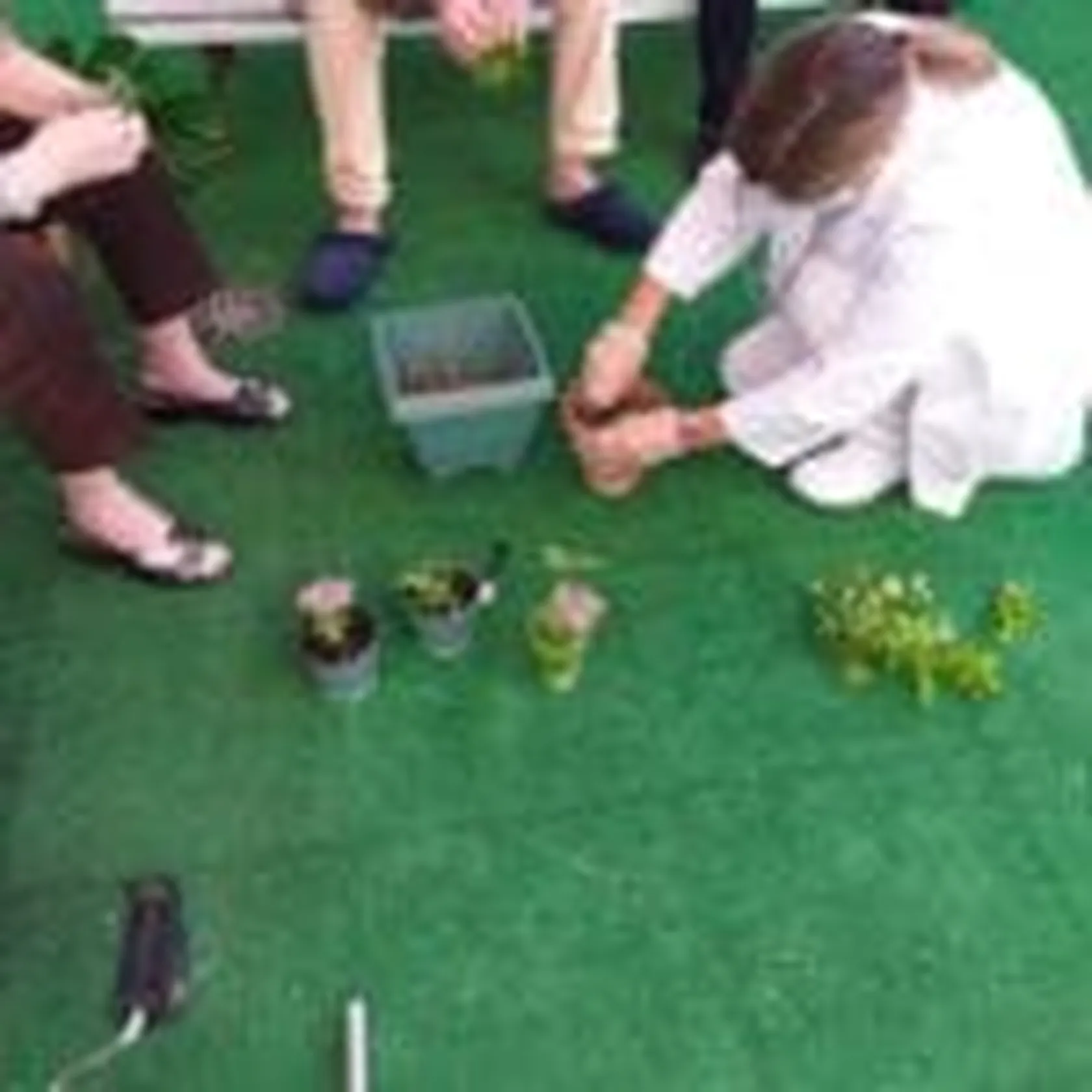 Domusvi-Valdemoro-jardin-terapeutico-módulo-150x150.jpeg