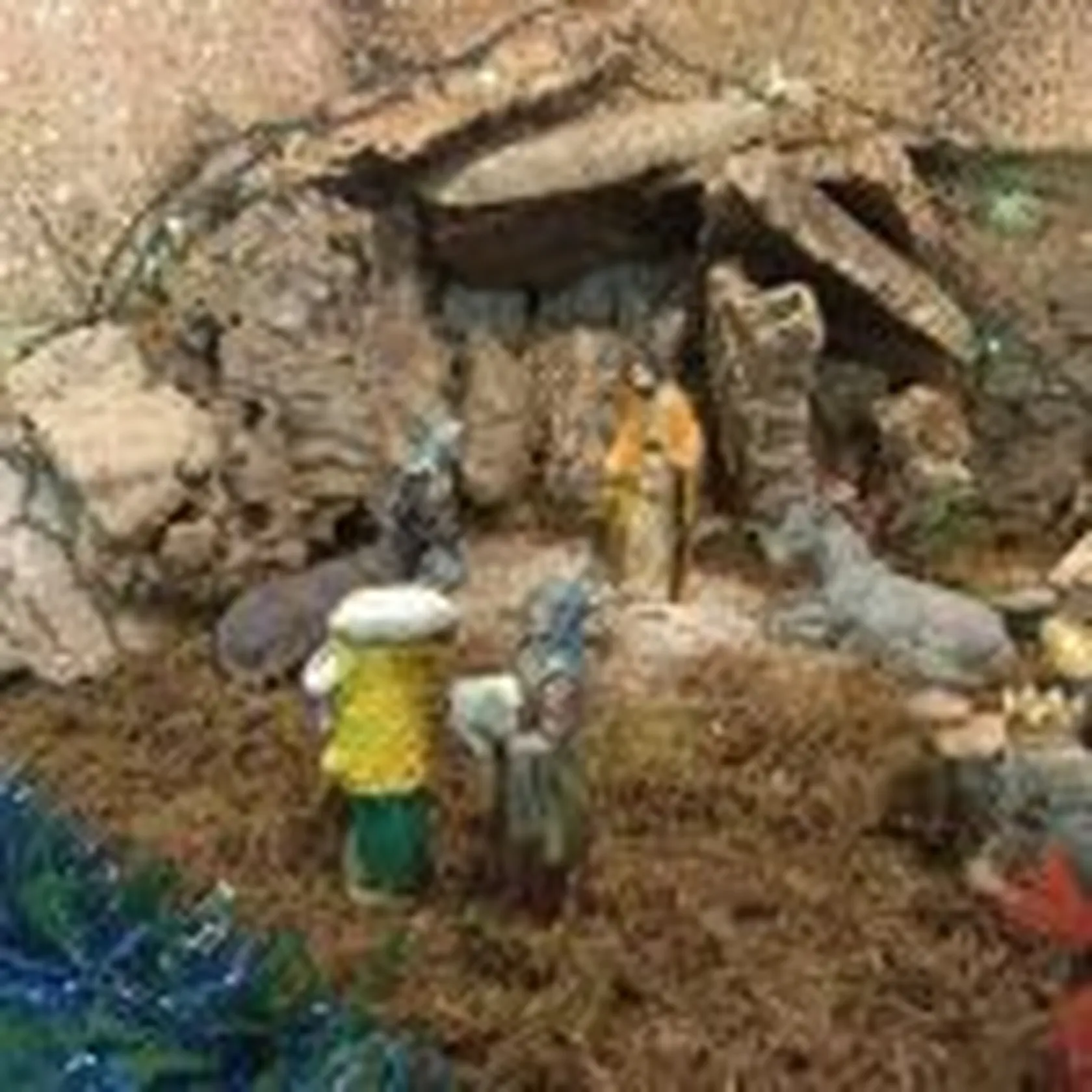 belen-4-150x150.jpg