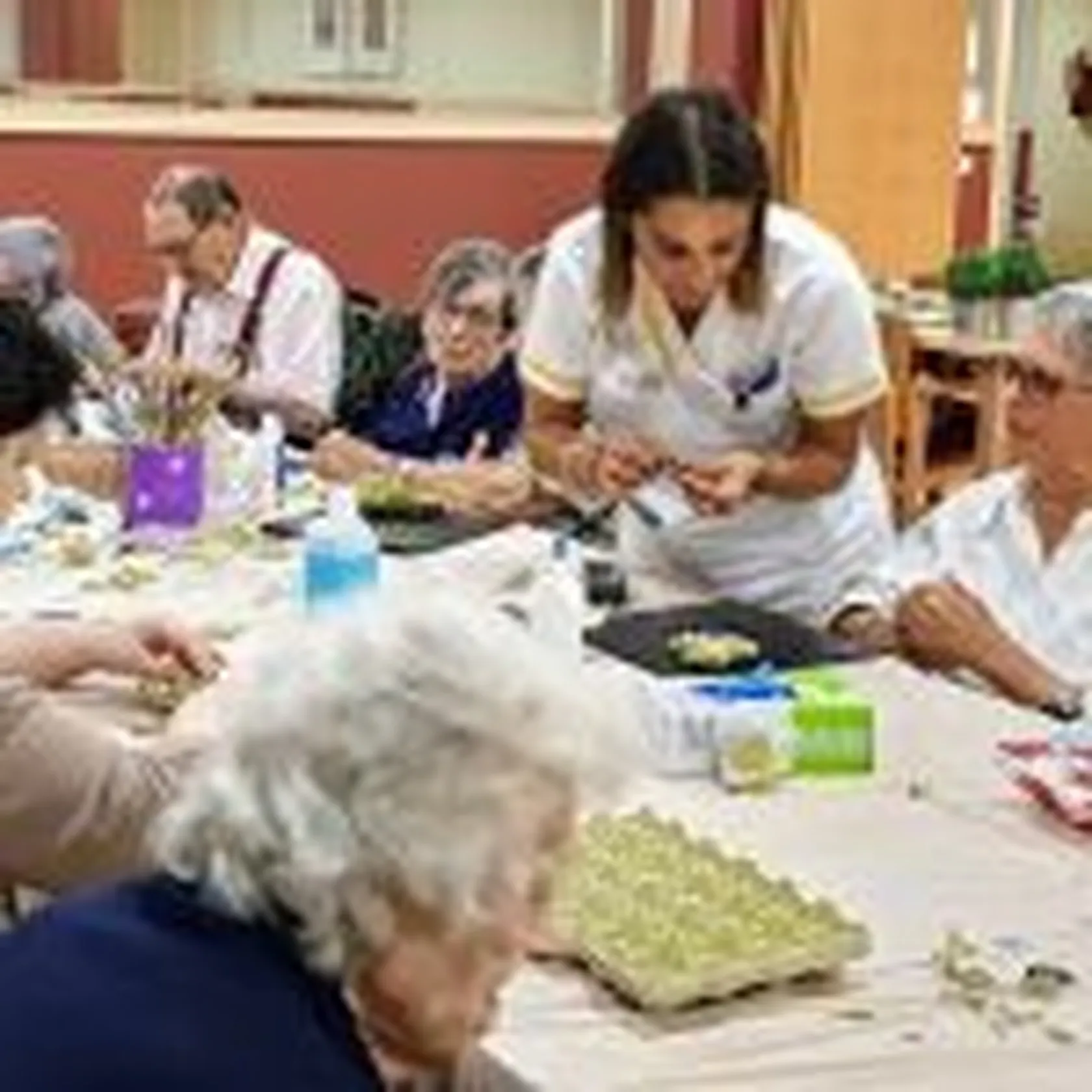TALLER-HUEVERAS-MATOGRANDE-6-150x150.jpg