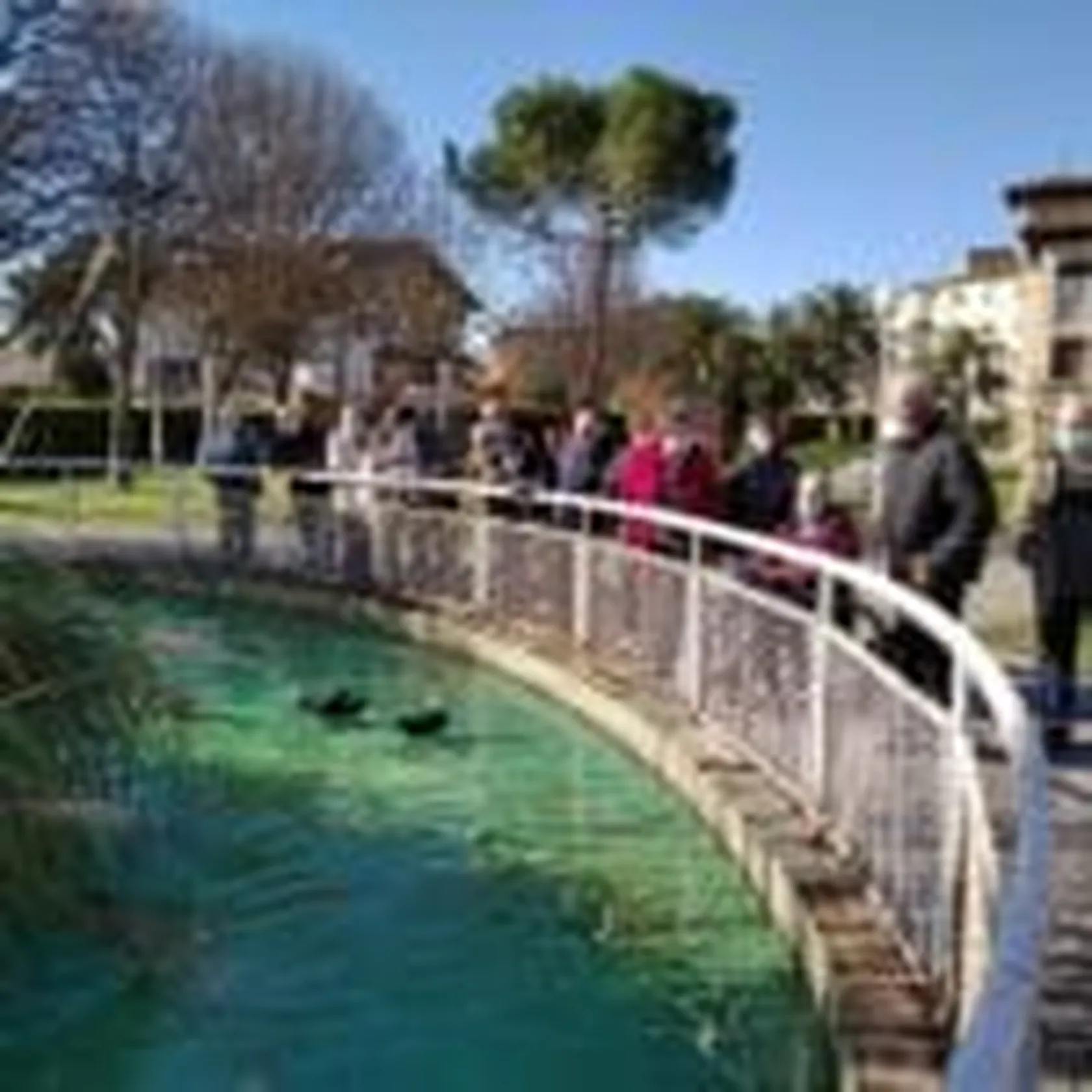 SA-EXCURSION-AYTO-2-2-150x150.jpg