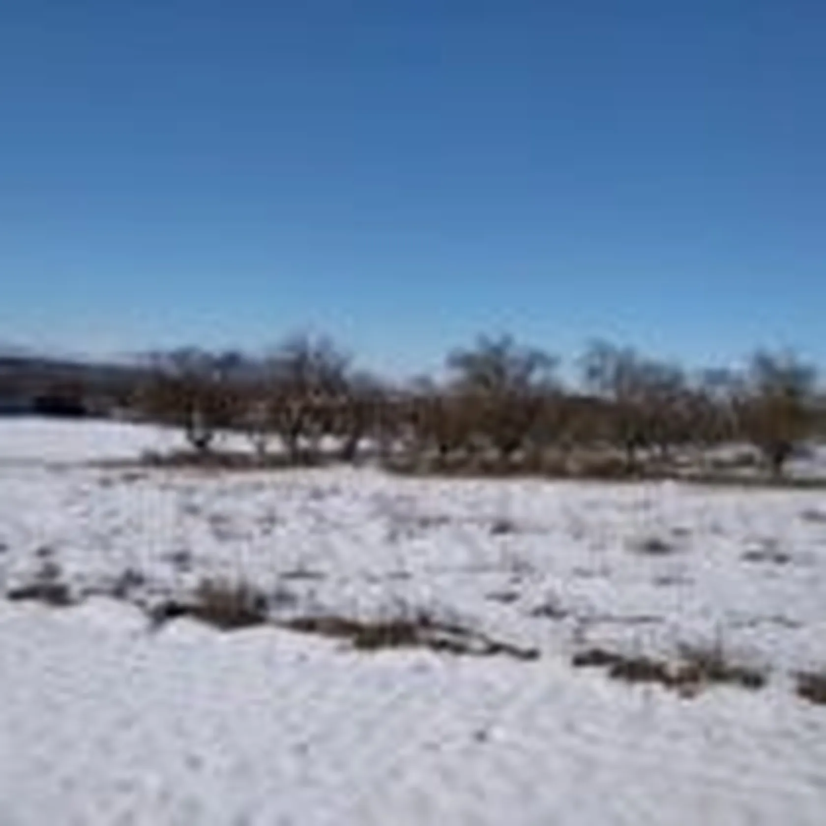 SA-NIEVE-20-150x150.jpg