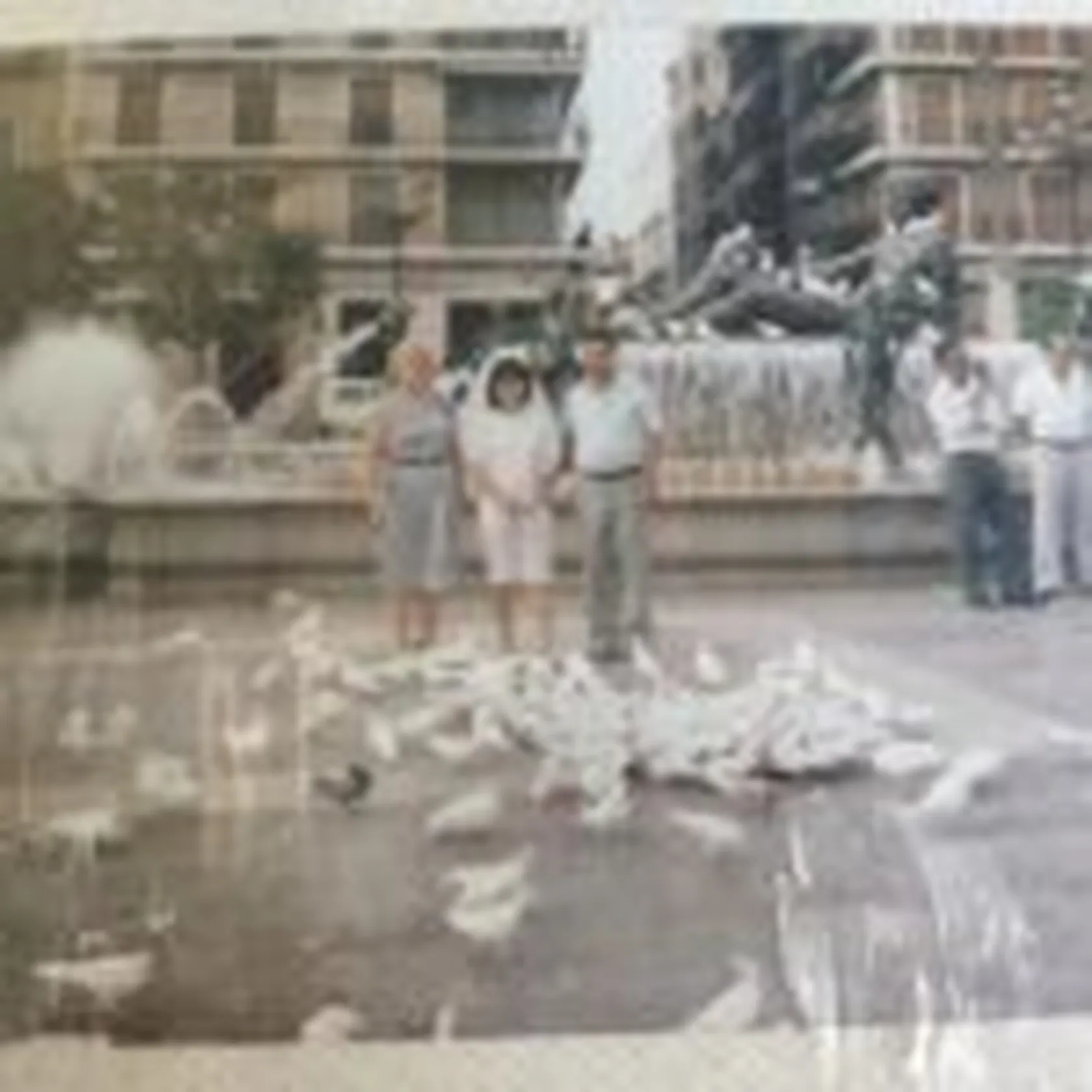 fotografia-150x150.jpg