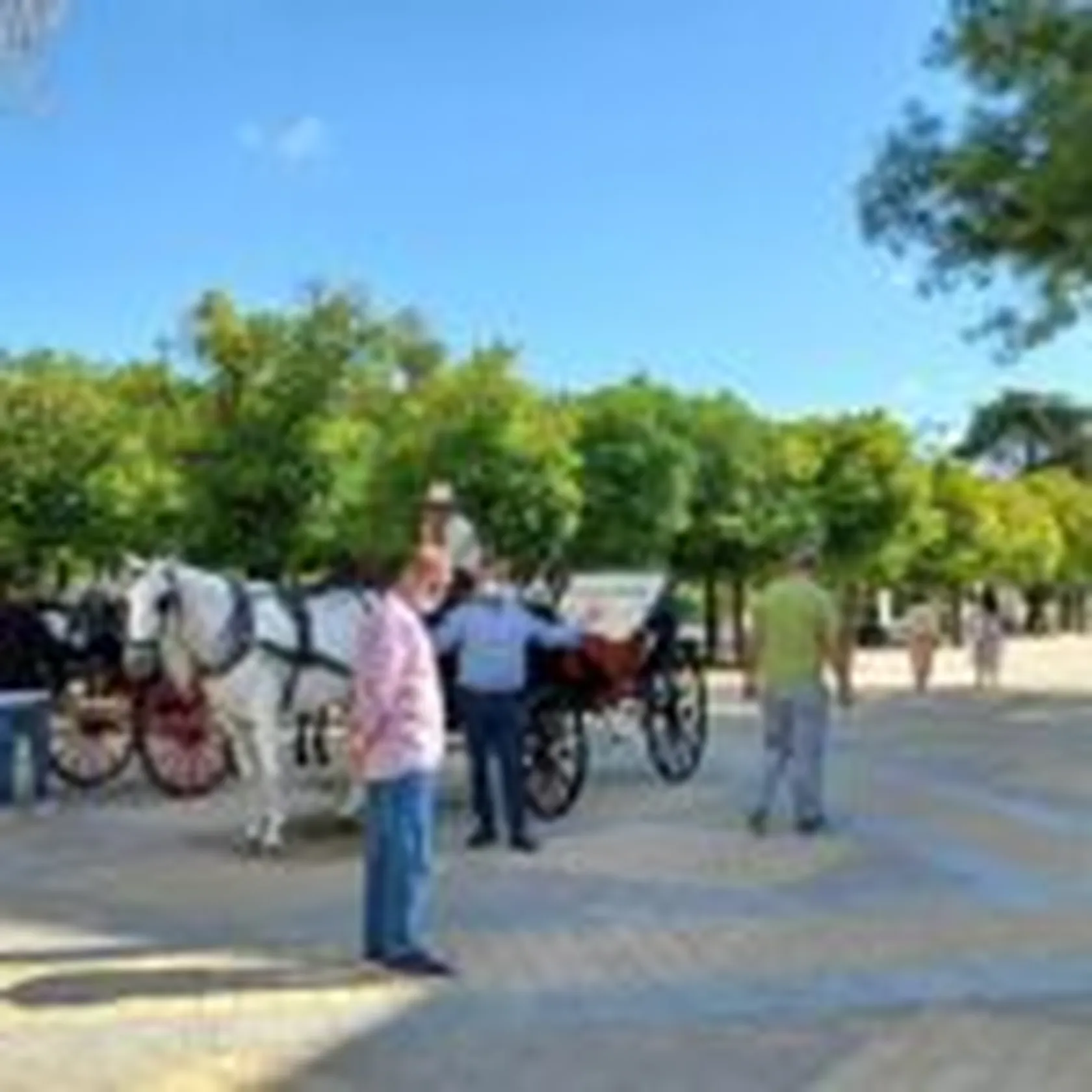ALCAZAR-EJREZ-USM-MONTEALTO-2-150x150.jpg