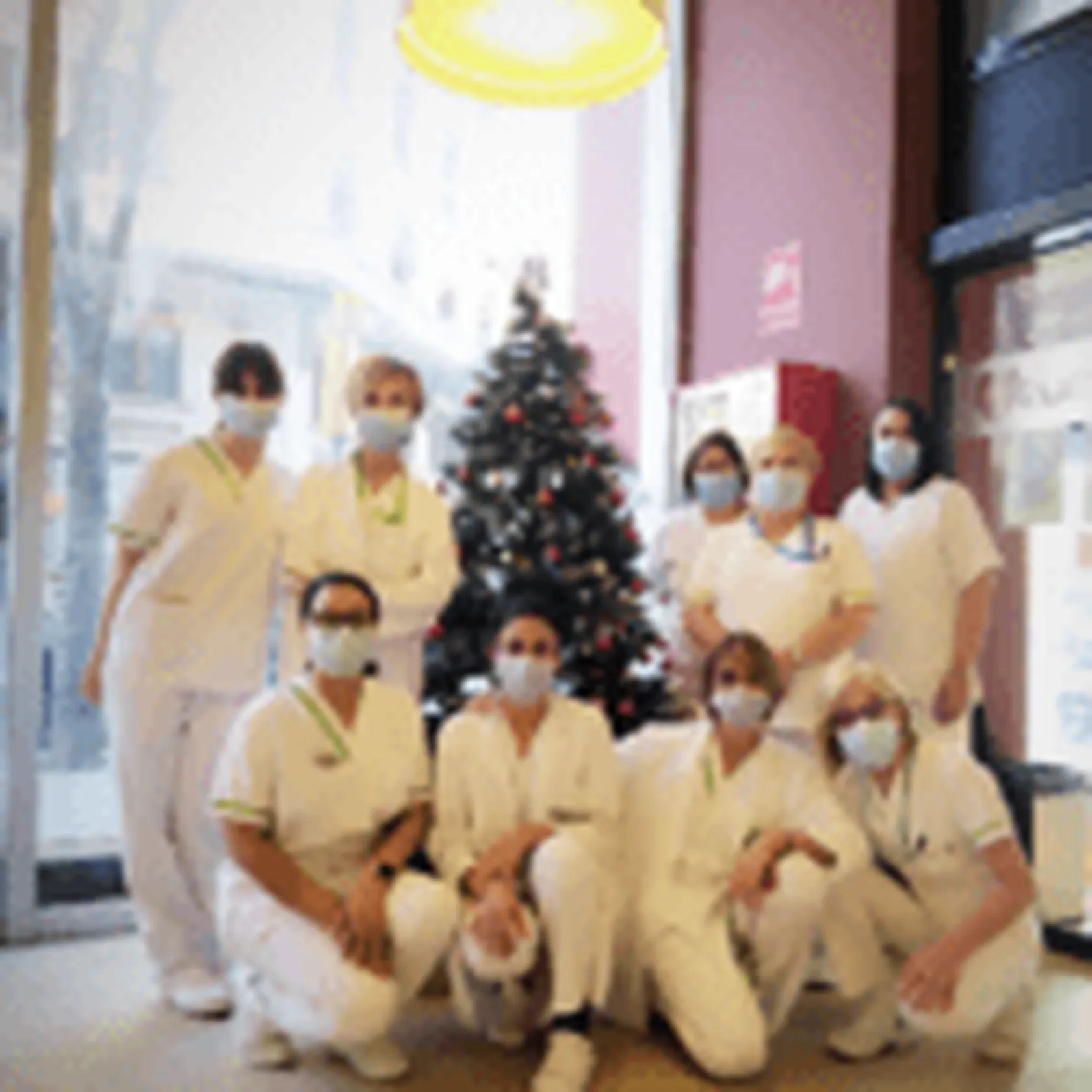 Foto-equipo-arbol-4-150x150.png